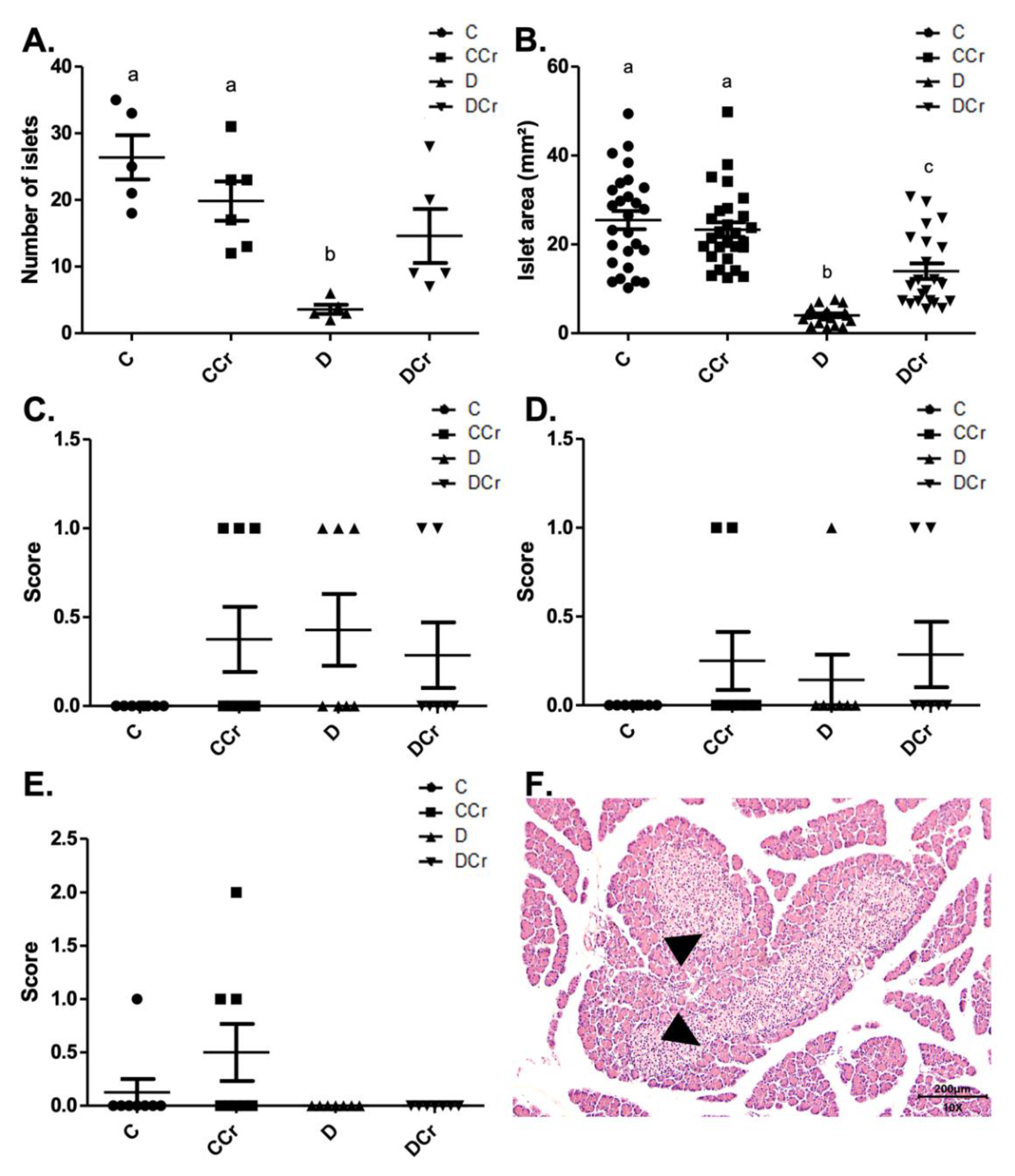 Nutrients 14 00431 g003 Nutrients 14 00431 g003