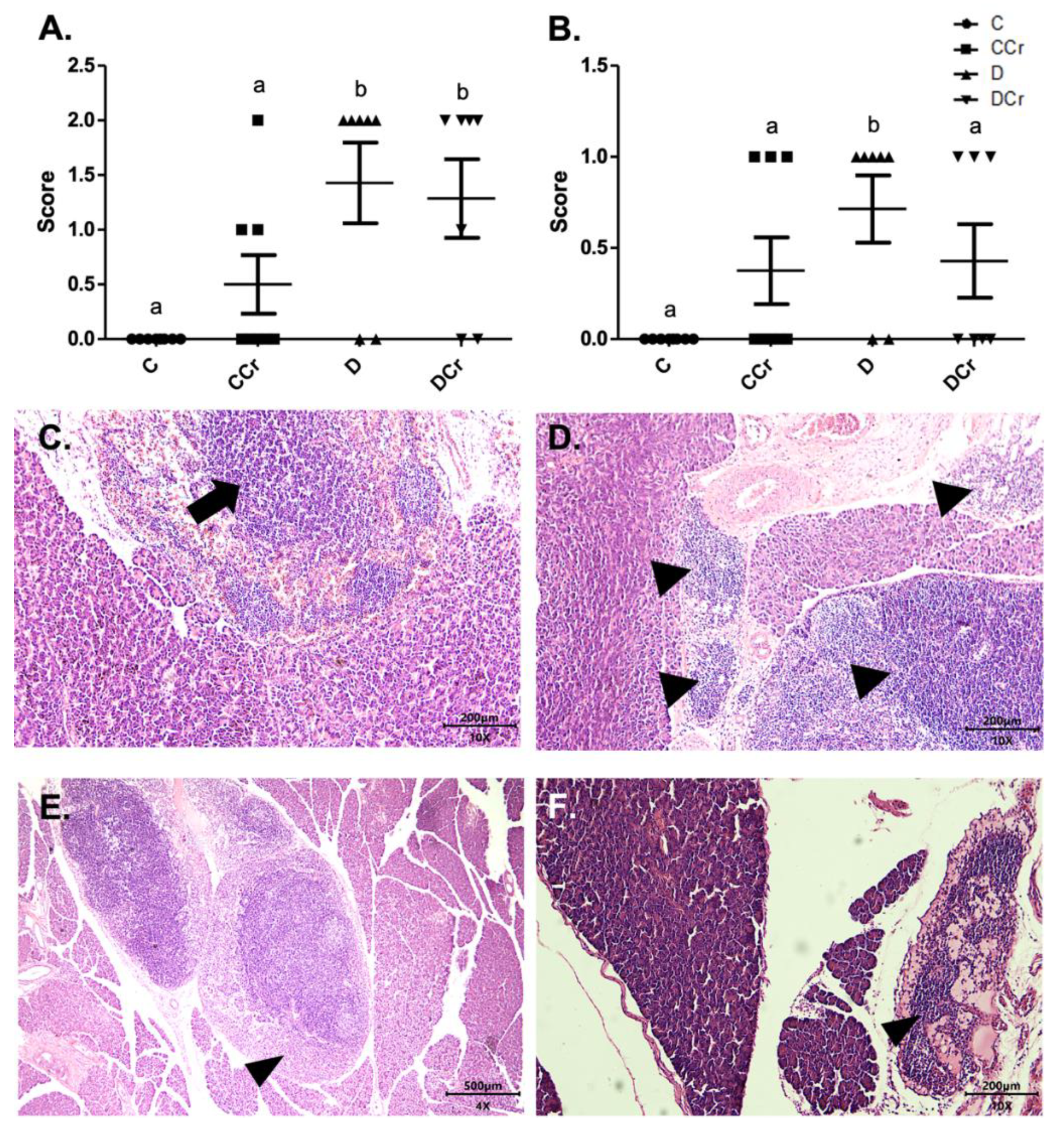 Nutrients 14 00431 g005 Nutrients 14 00431 g005