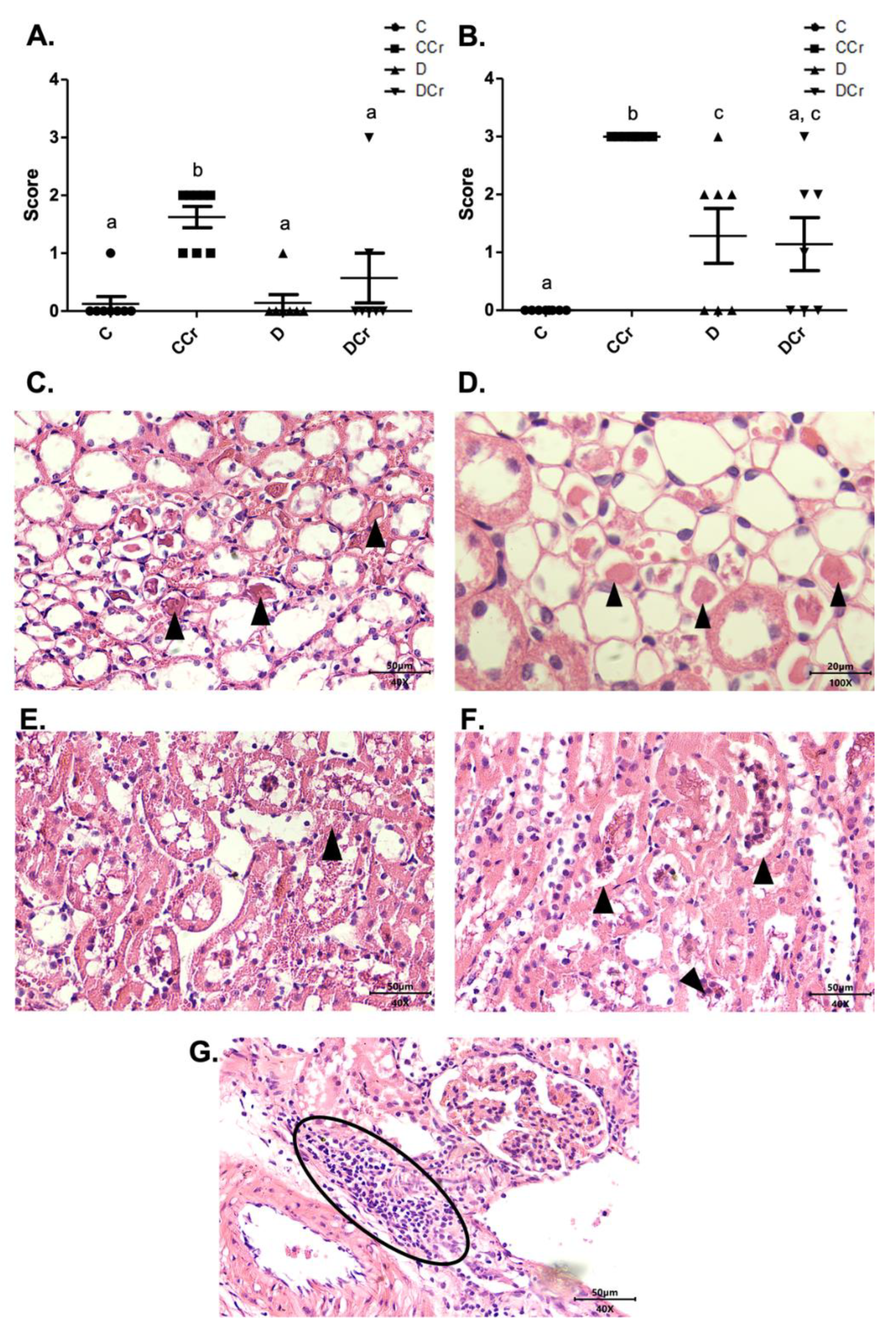 Nutrients 14 00431 g009 Nutrients 14 00431 g009
