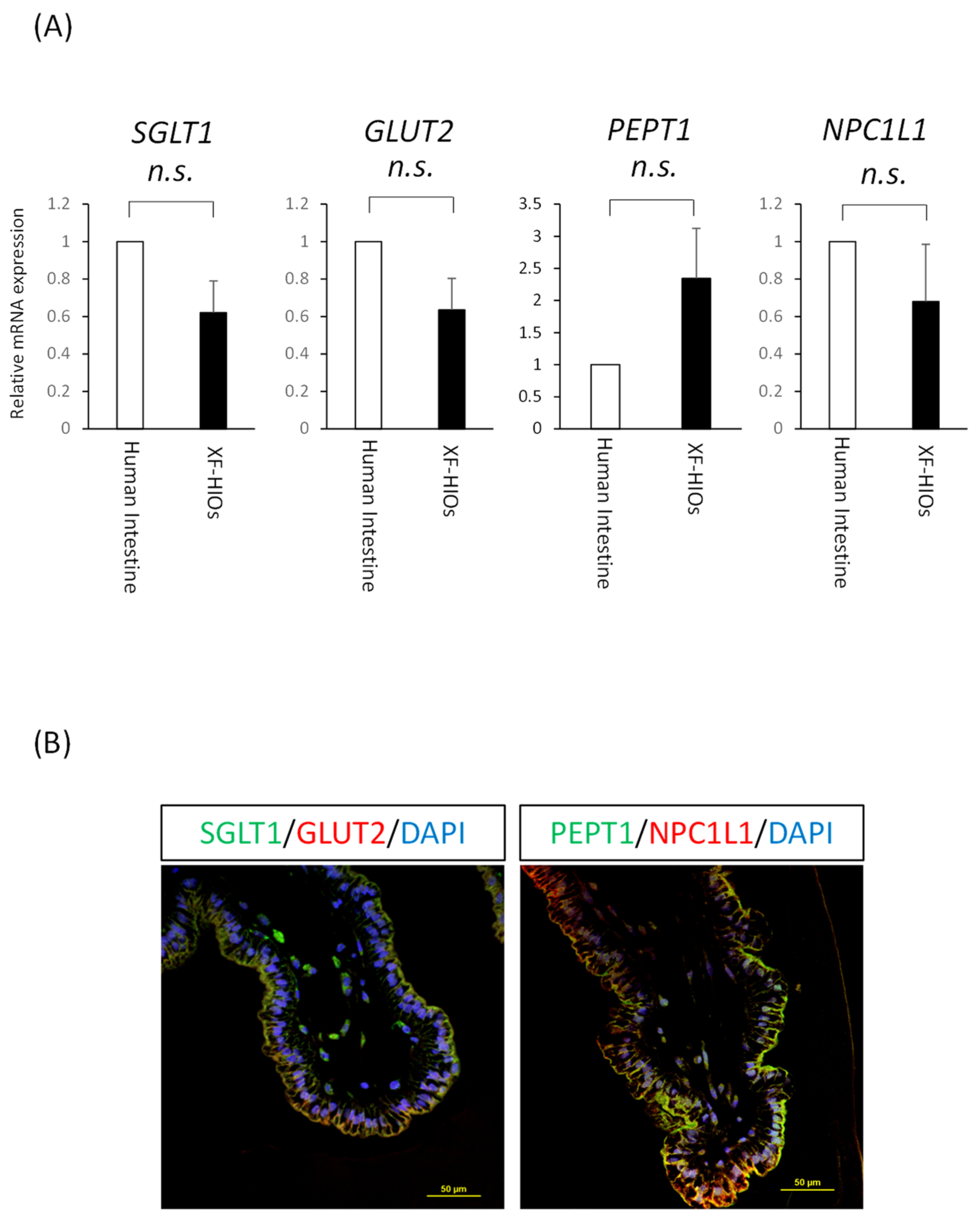 Nutrients 14 00438 g002 550
