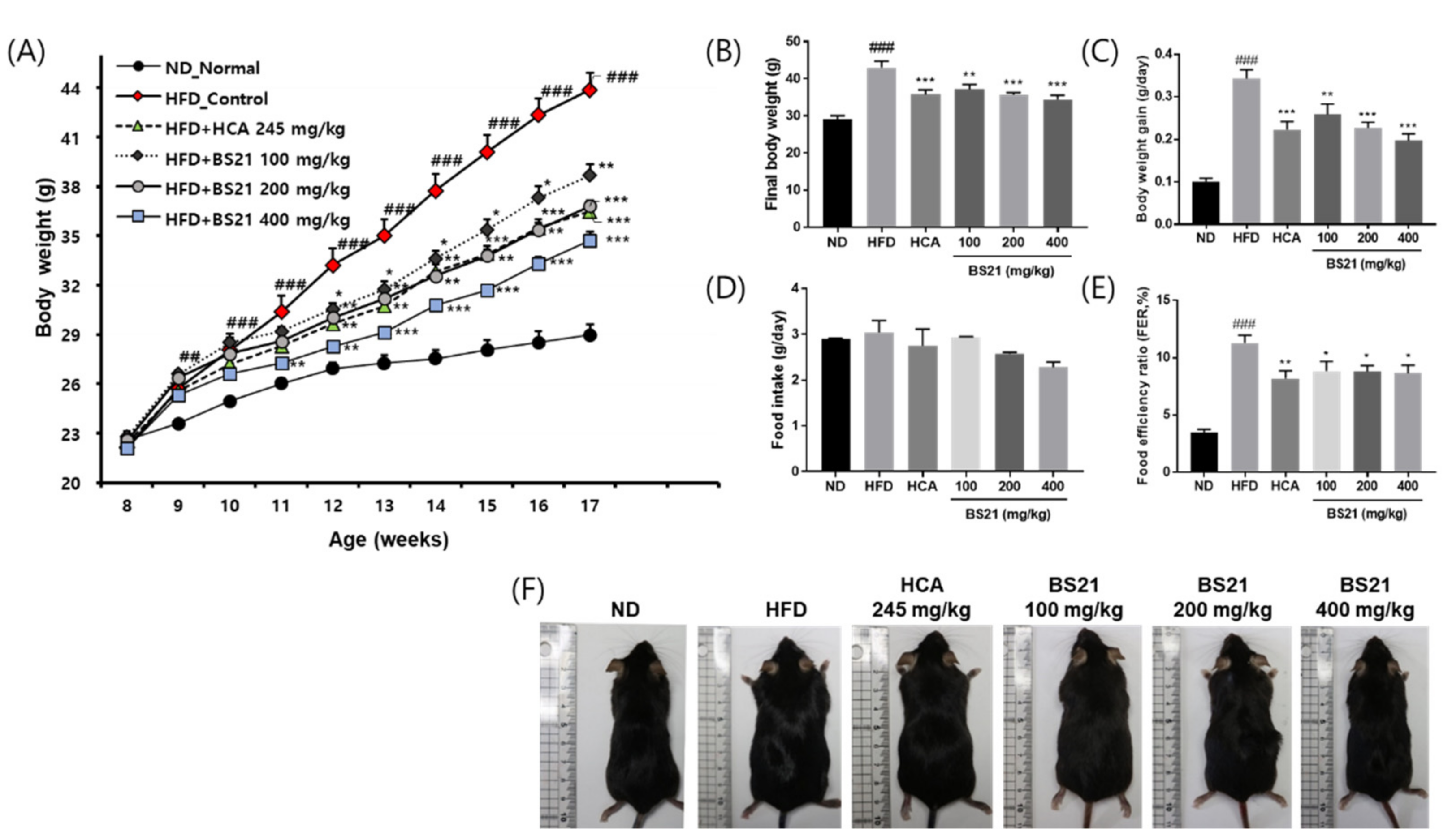 Nutrients 14 00446 g001 Nutrients 14 00446 g001