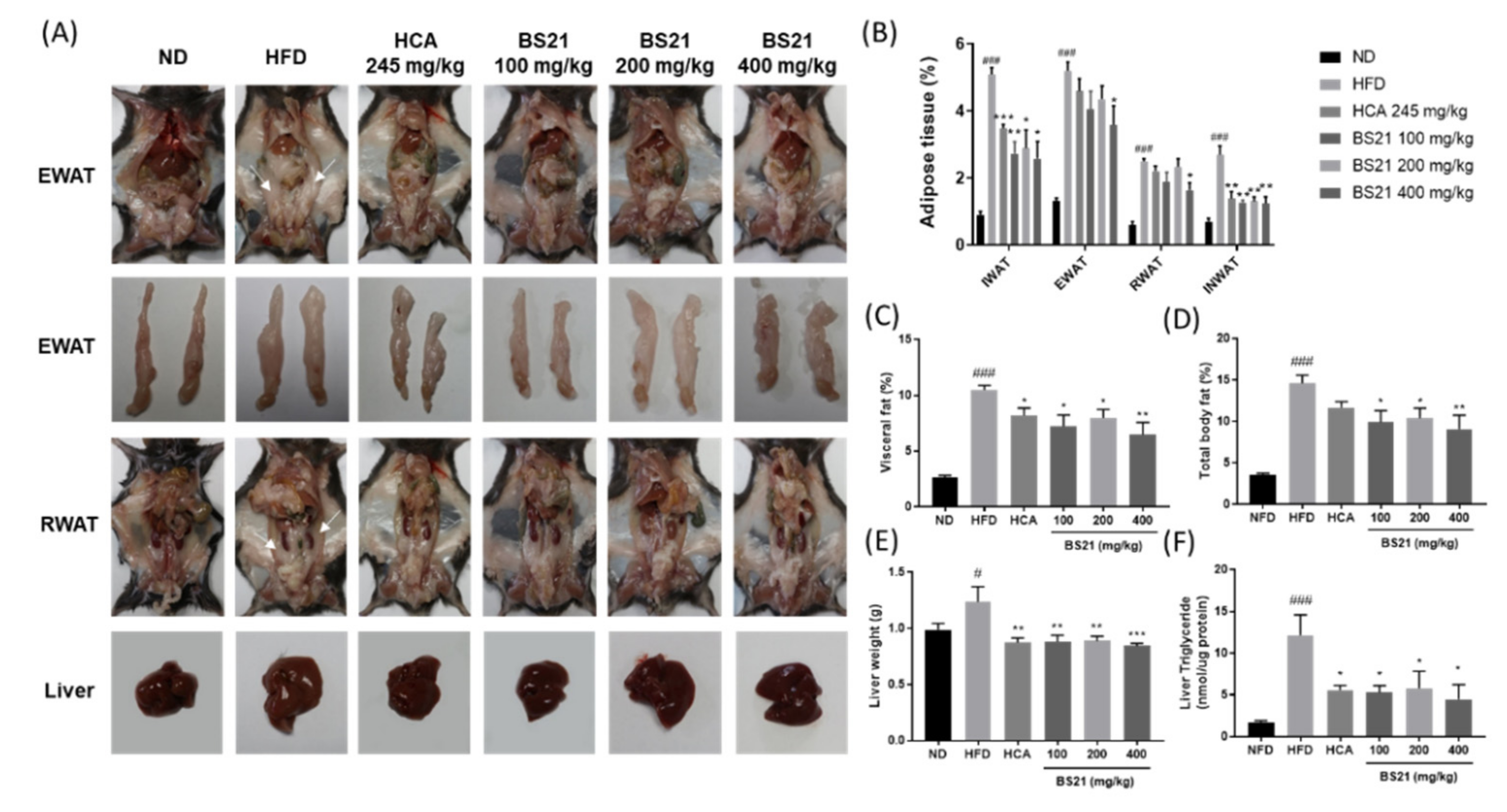 Nutrients 14 00446 g004 Nutrients 14 00446 g004