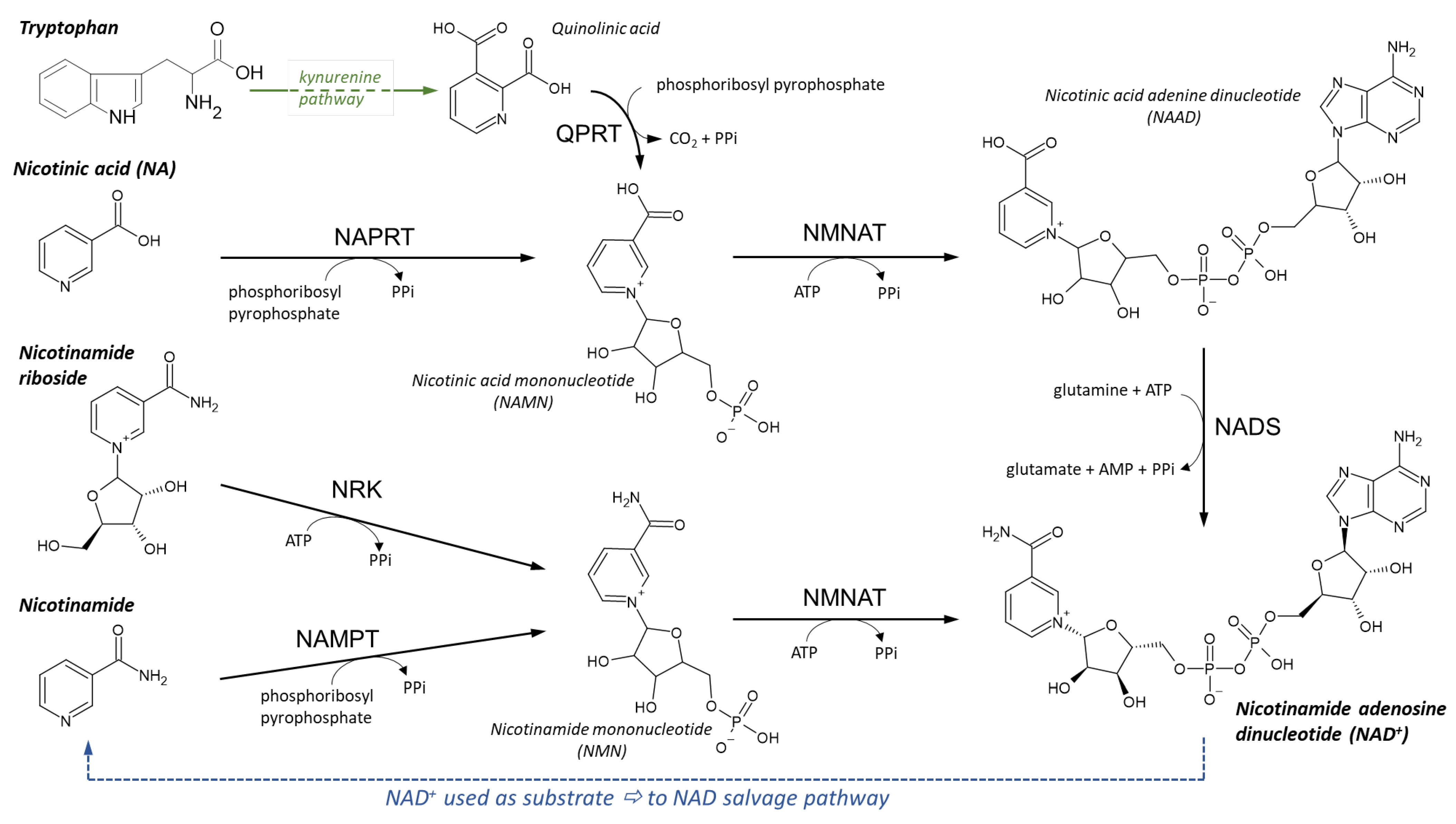 Nutrients 14 00484 g010 Nutrients 14 00484 g010