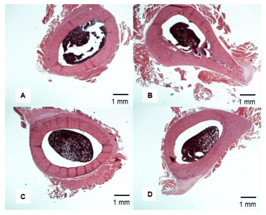 Nutrients 14 00486 g008 Nutrients 14 00486 g008