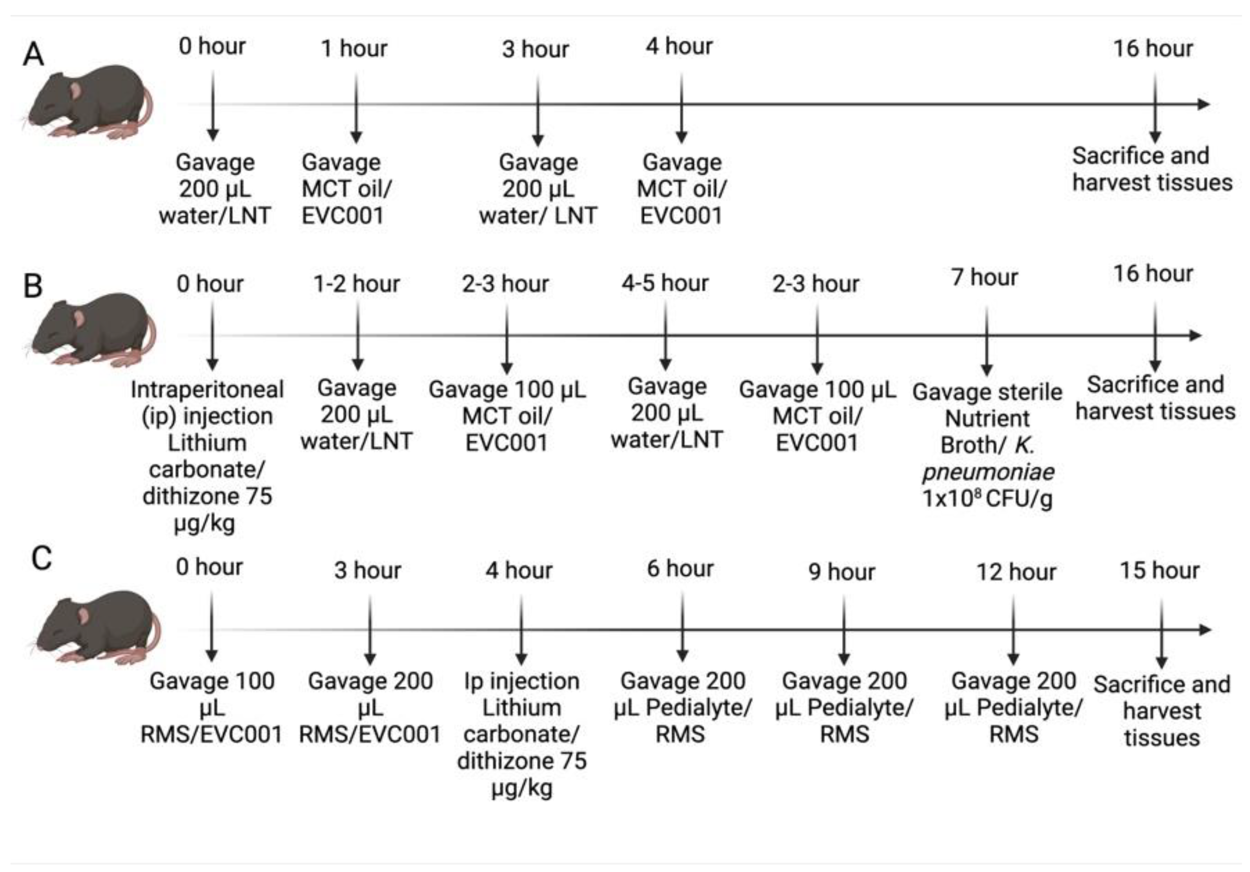 Nutrients 14 00495 g001 550