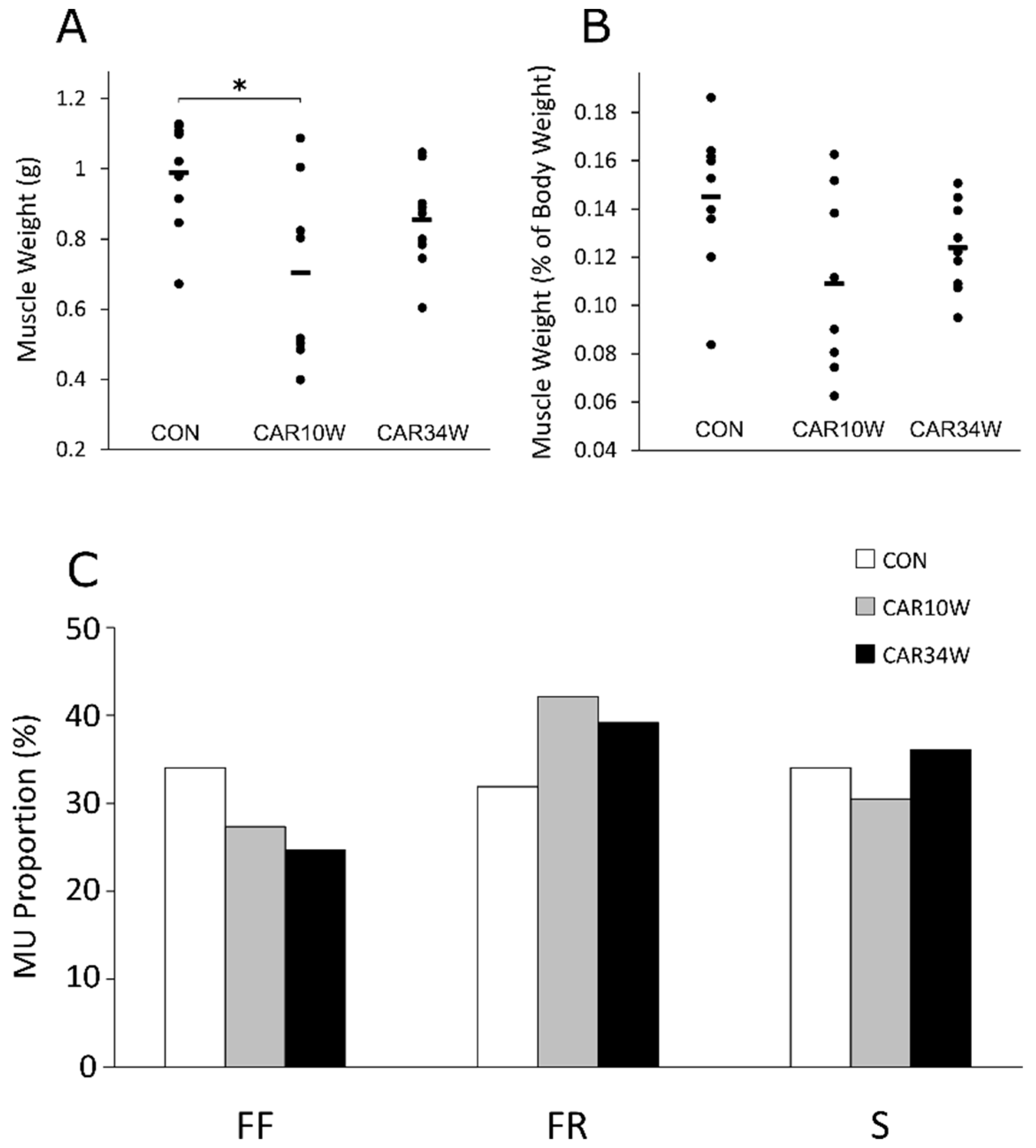 Nutrients 14 00514 g001