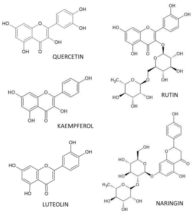 Nutrients 14 00523 g002 Nutrients 14 00523 g002