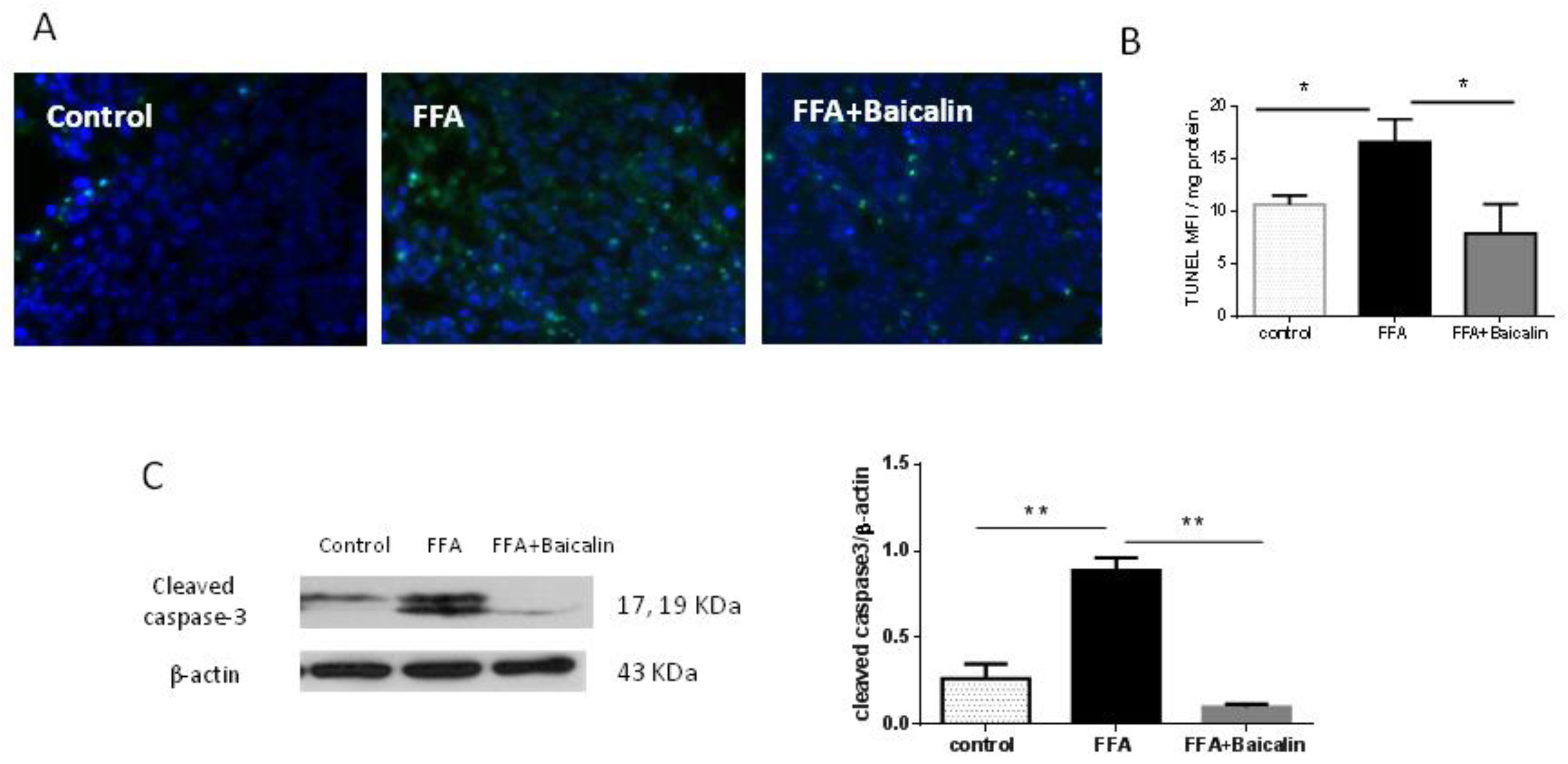 Nutrients 14 00541 g005
