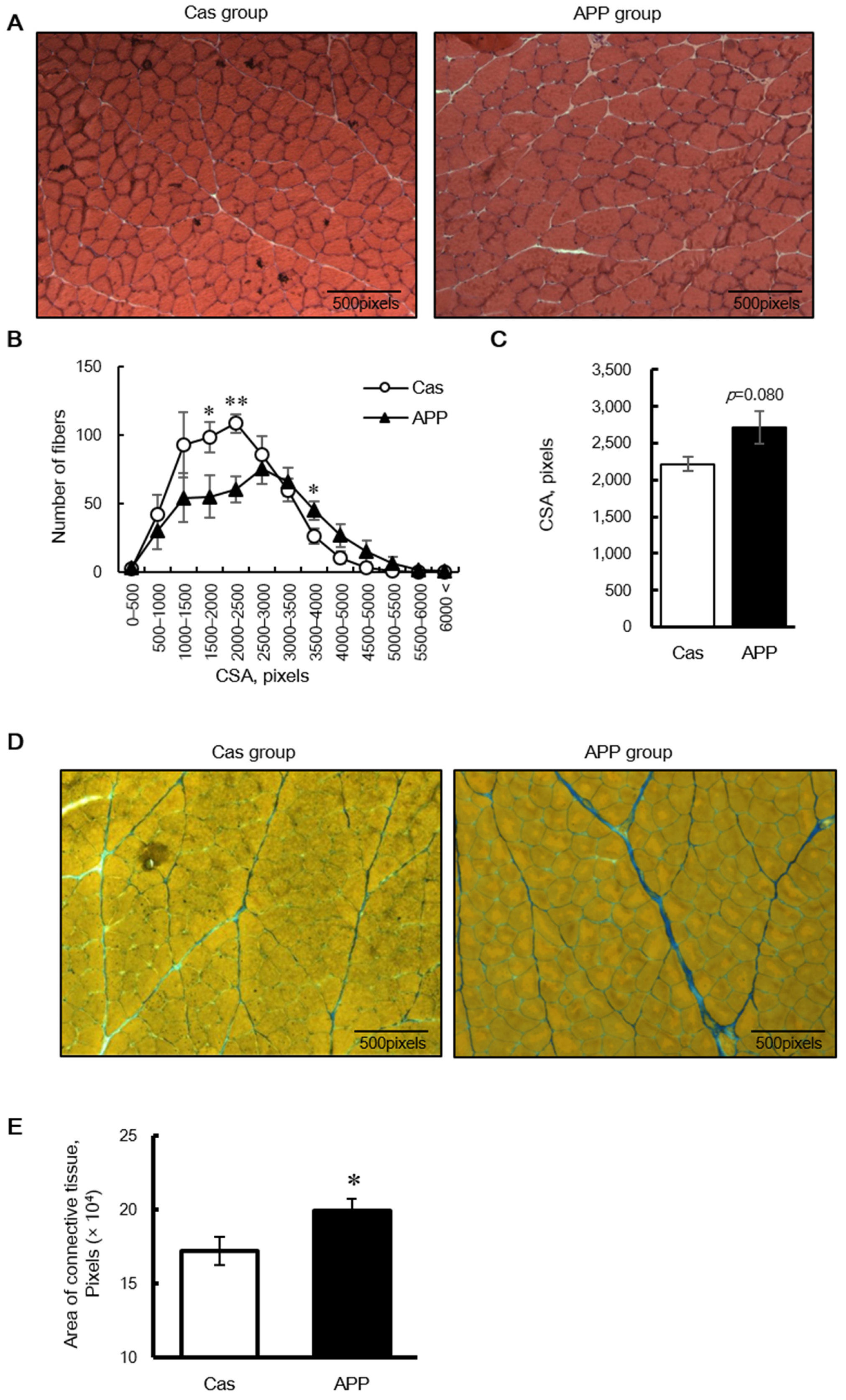Nutrients 14 00547 g003