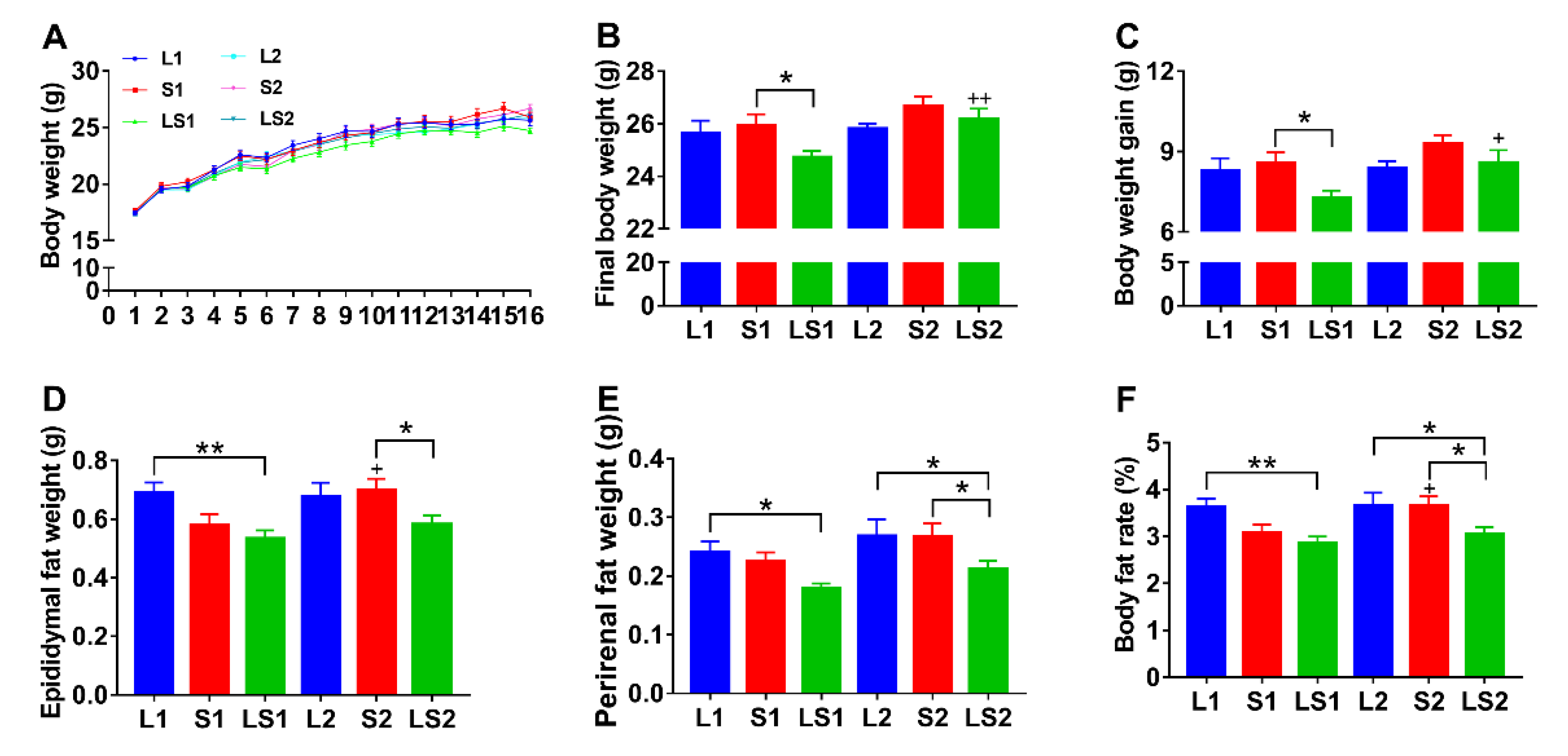 Nutrients 14 00560 g001