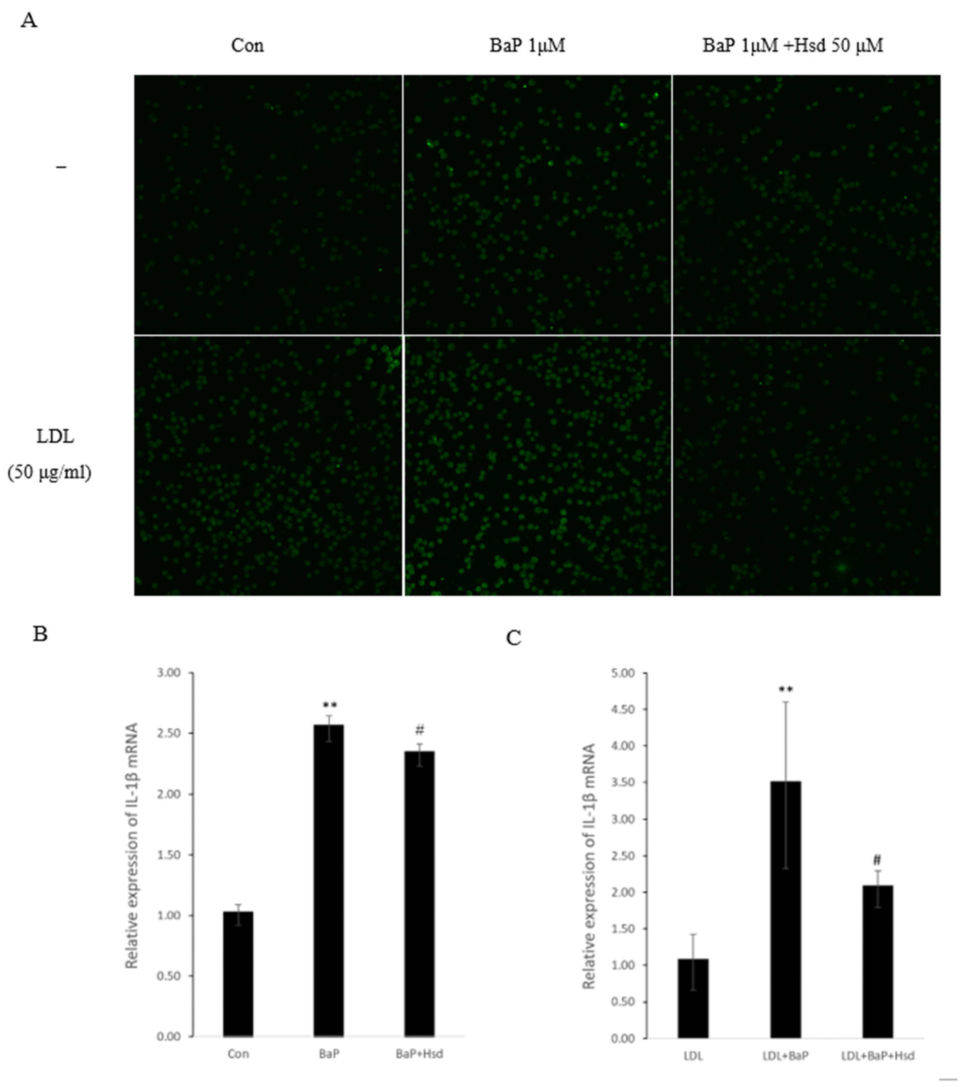 Nutrients 14 00574 g003a