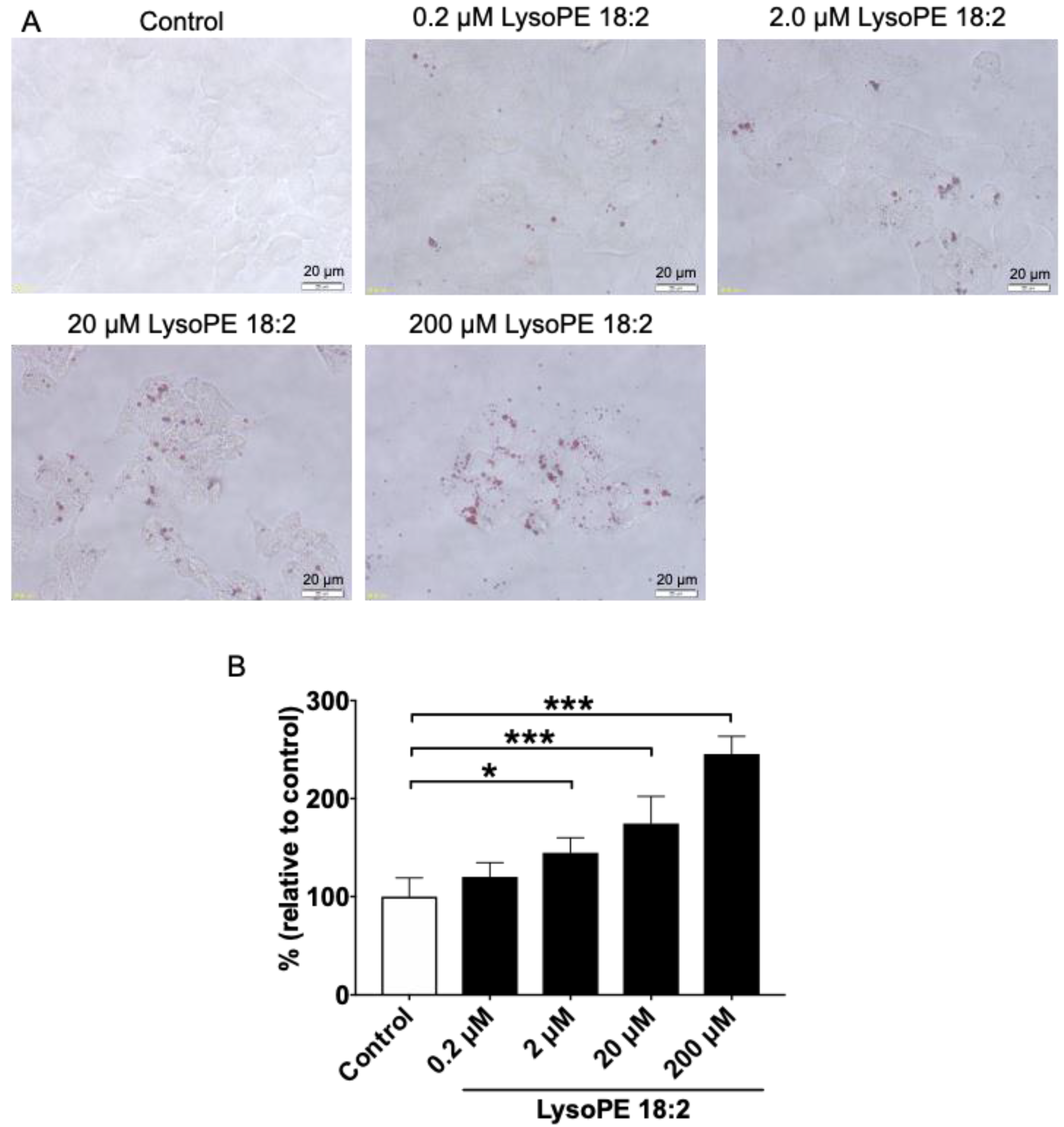 Nutrients 14 00579 g002 550