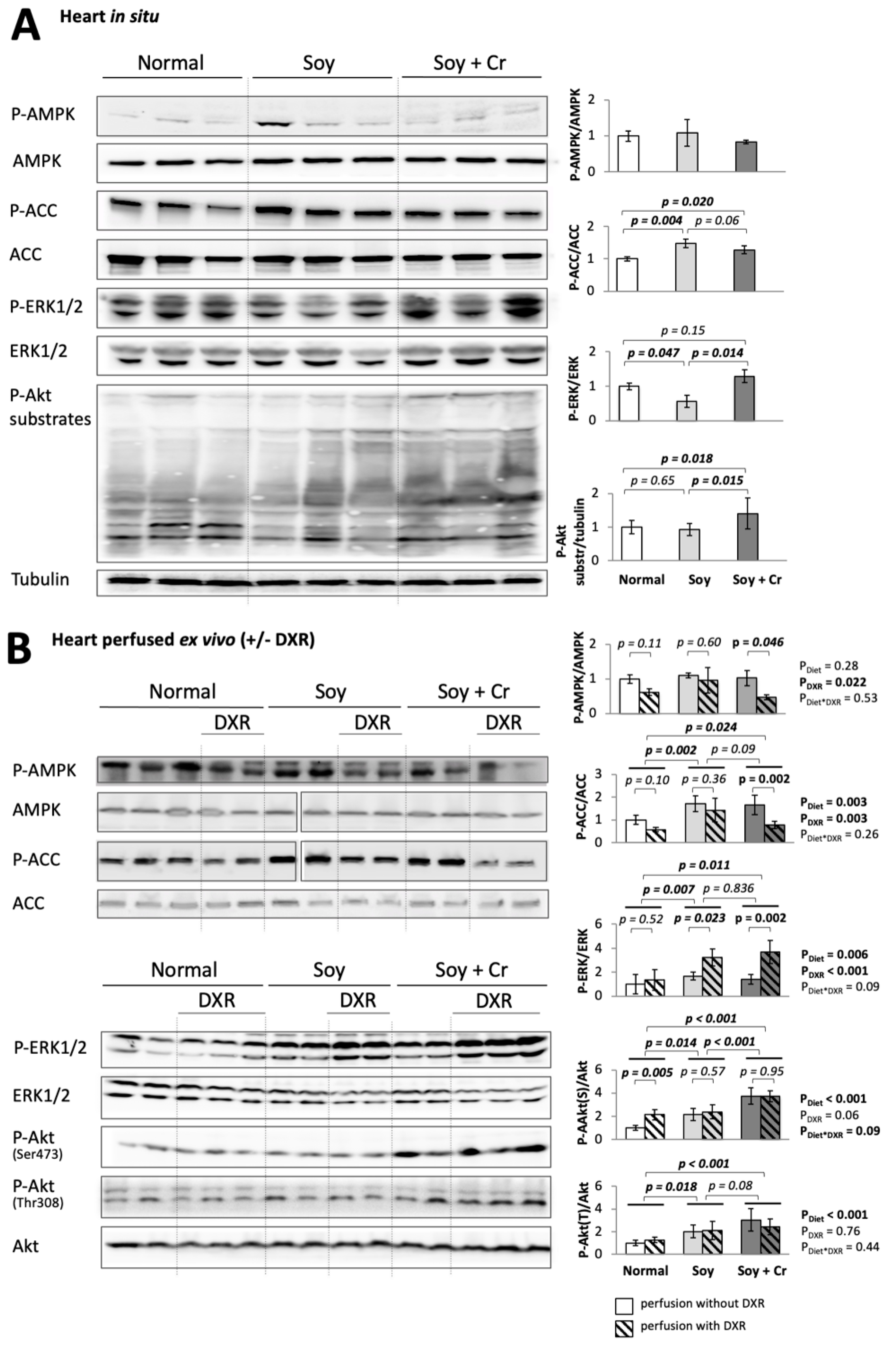 Nutrients 14 00583 g004