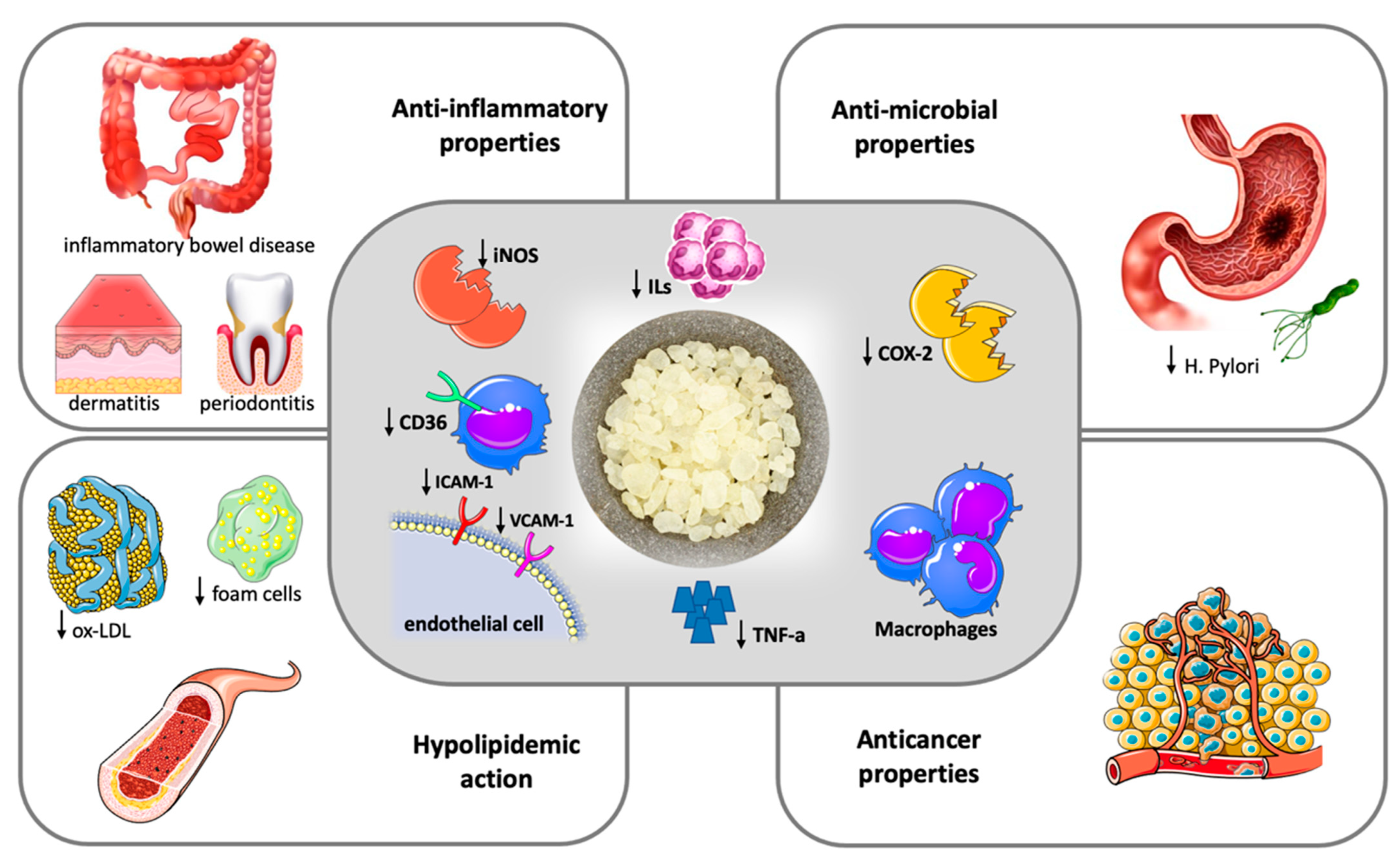 Nutrients, Free Full-Text