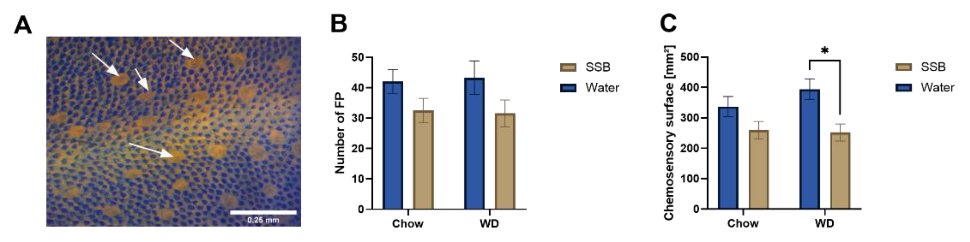 Nutrients 14 00594 g003 550