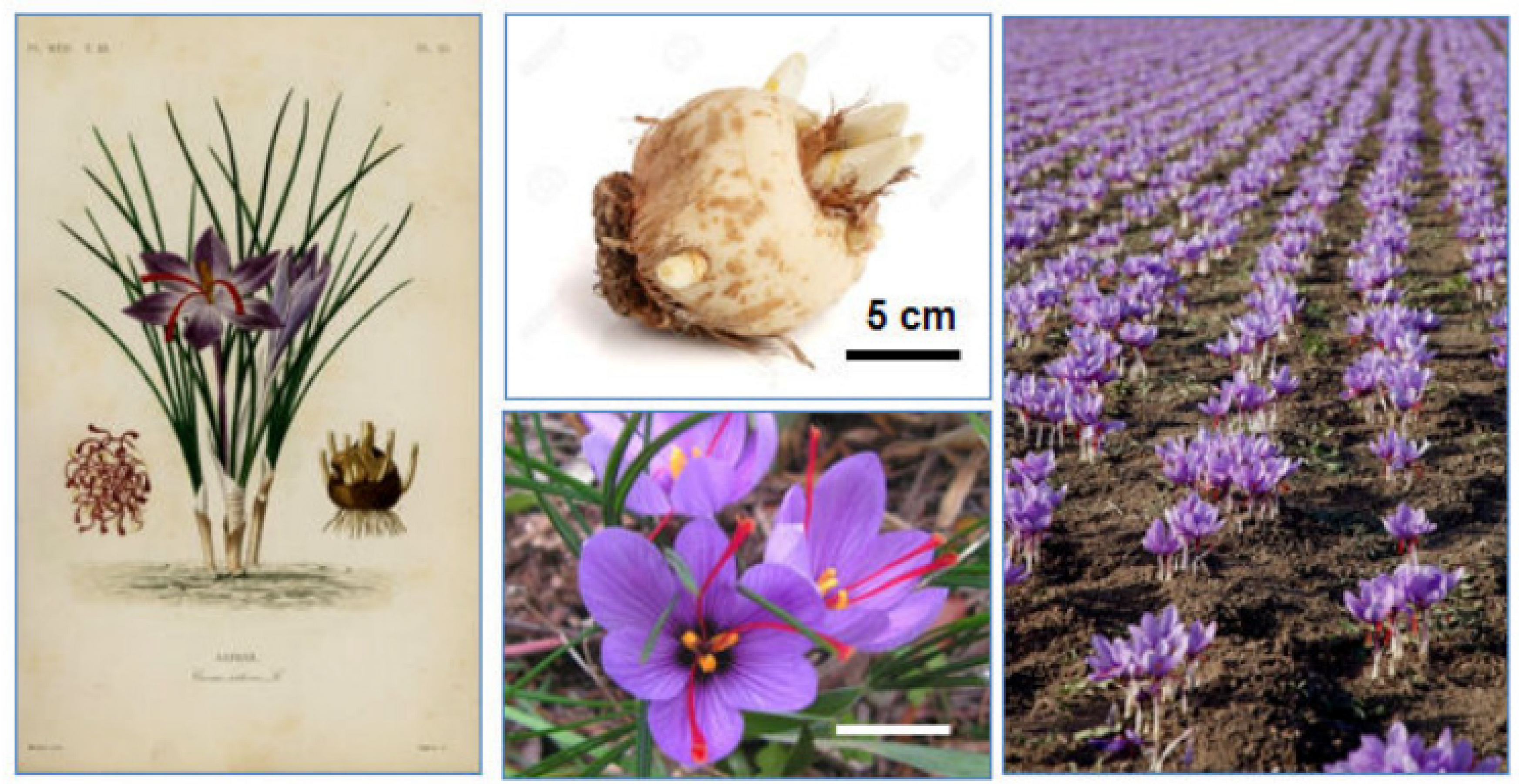 Nutrients 14 00597 g002