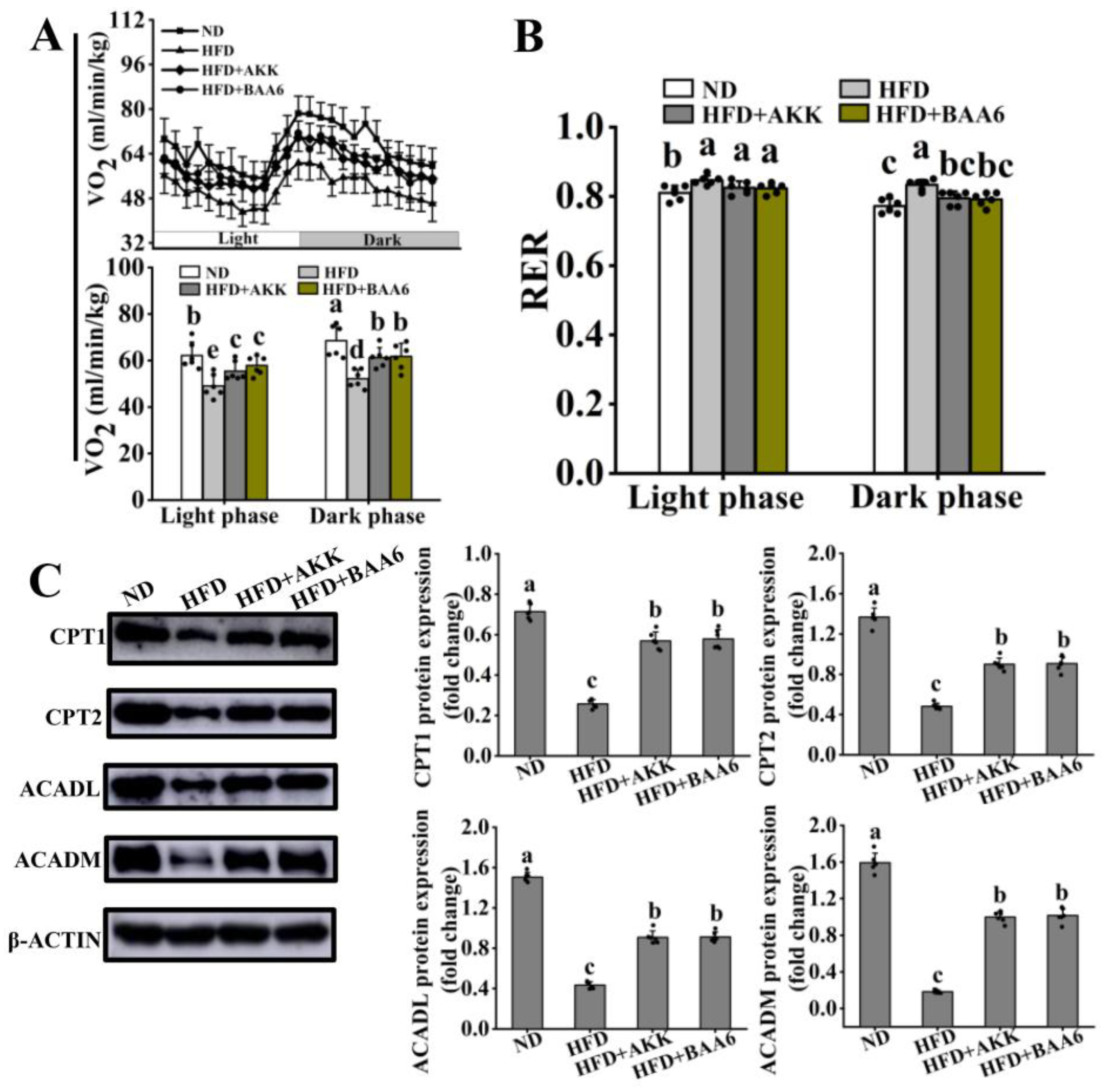 Nutrients 14 00598 g002