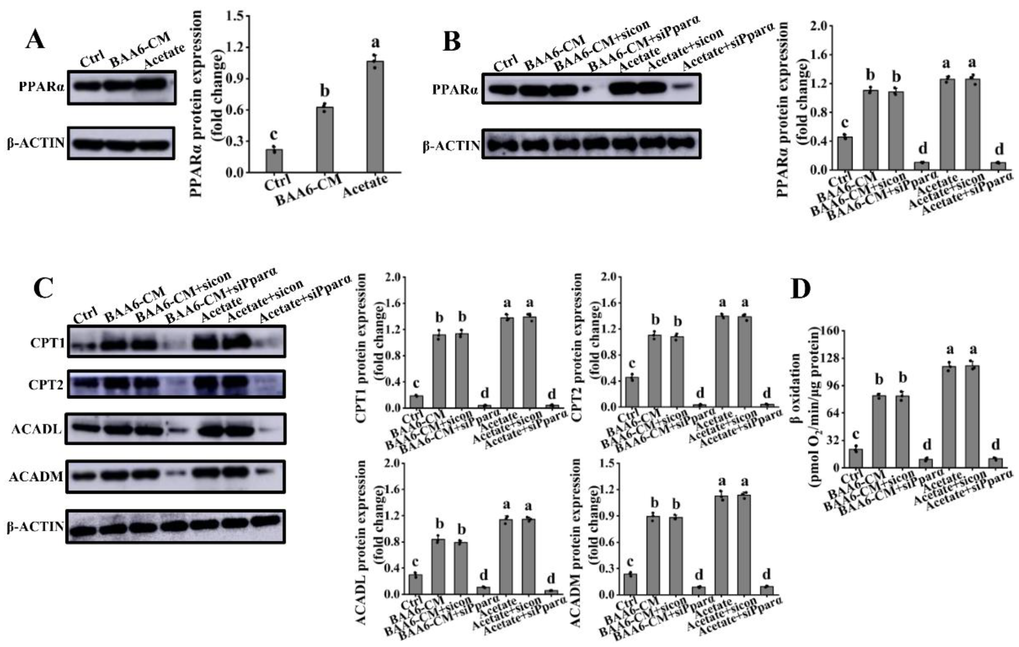 Nutrients 14 00598 g005