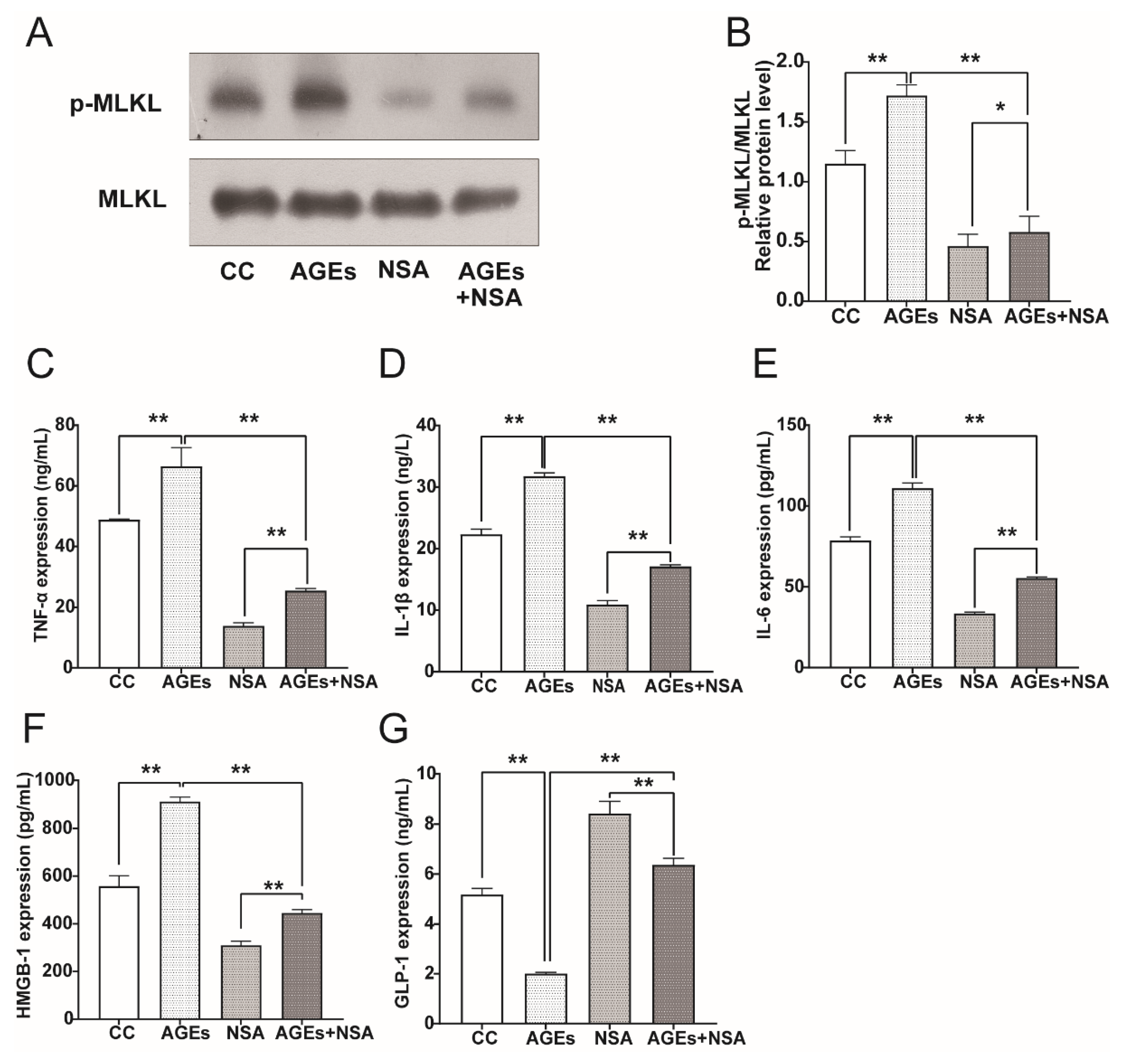 Nutrients 14 00604 g008