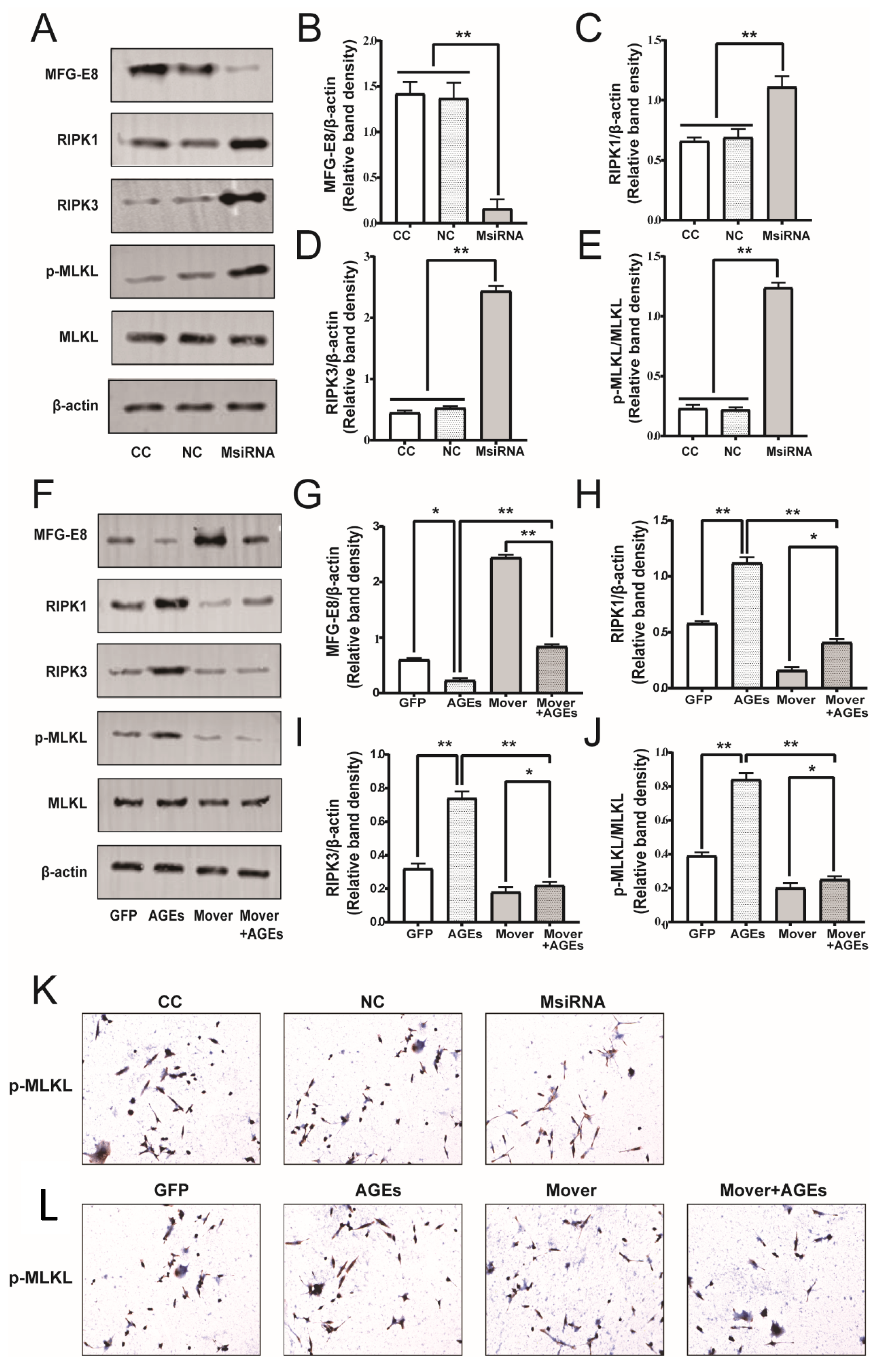 Nutrients 14 00604 g009