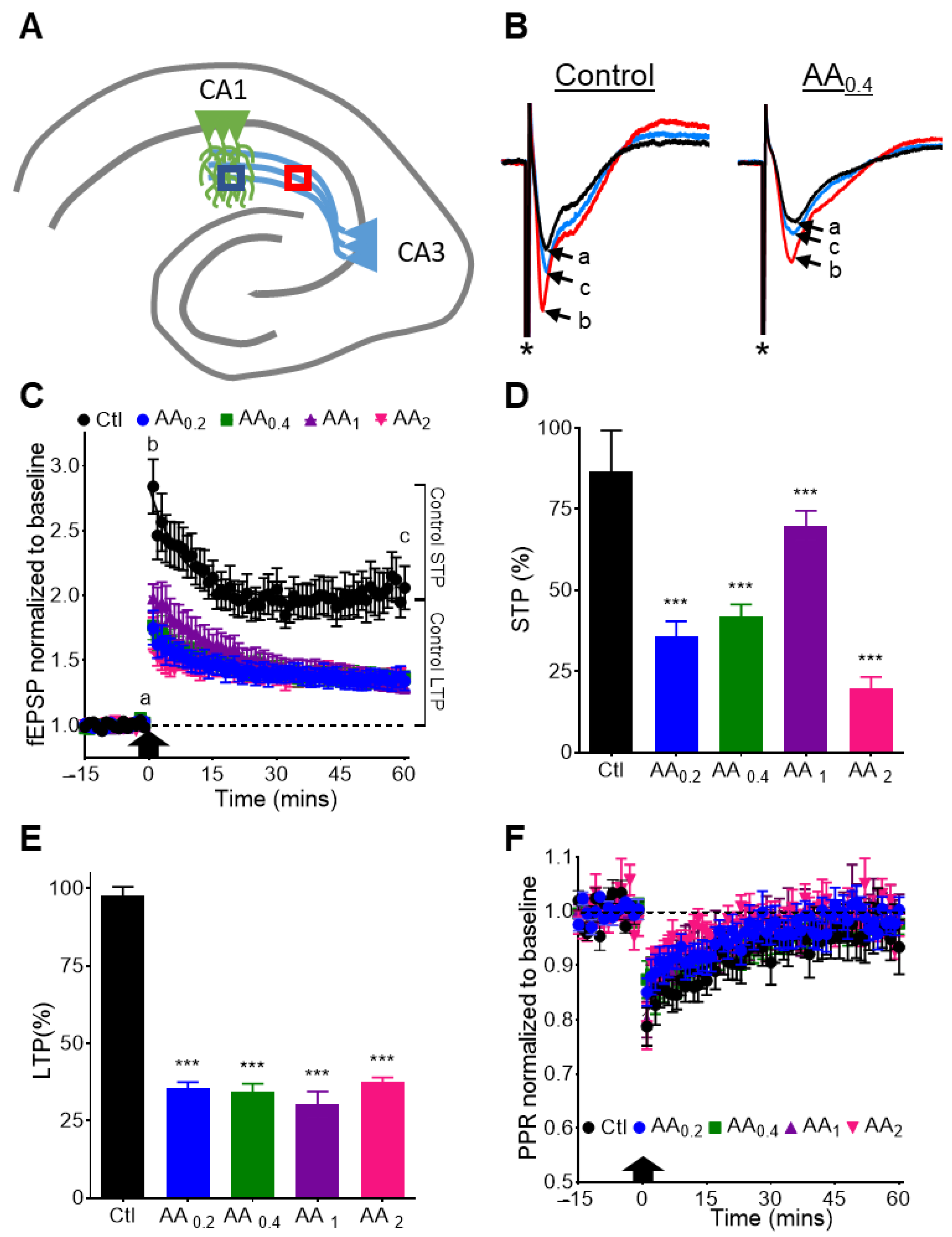 Nutrients 14 00613 g004
