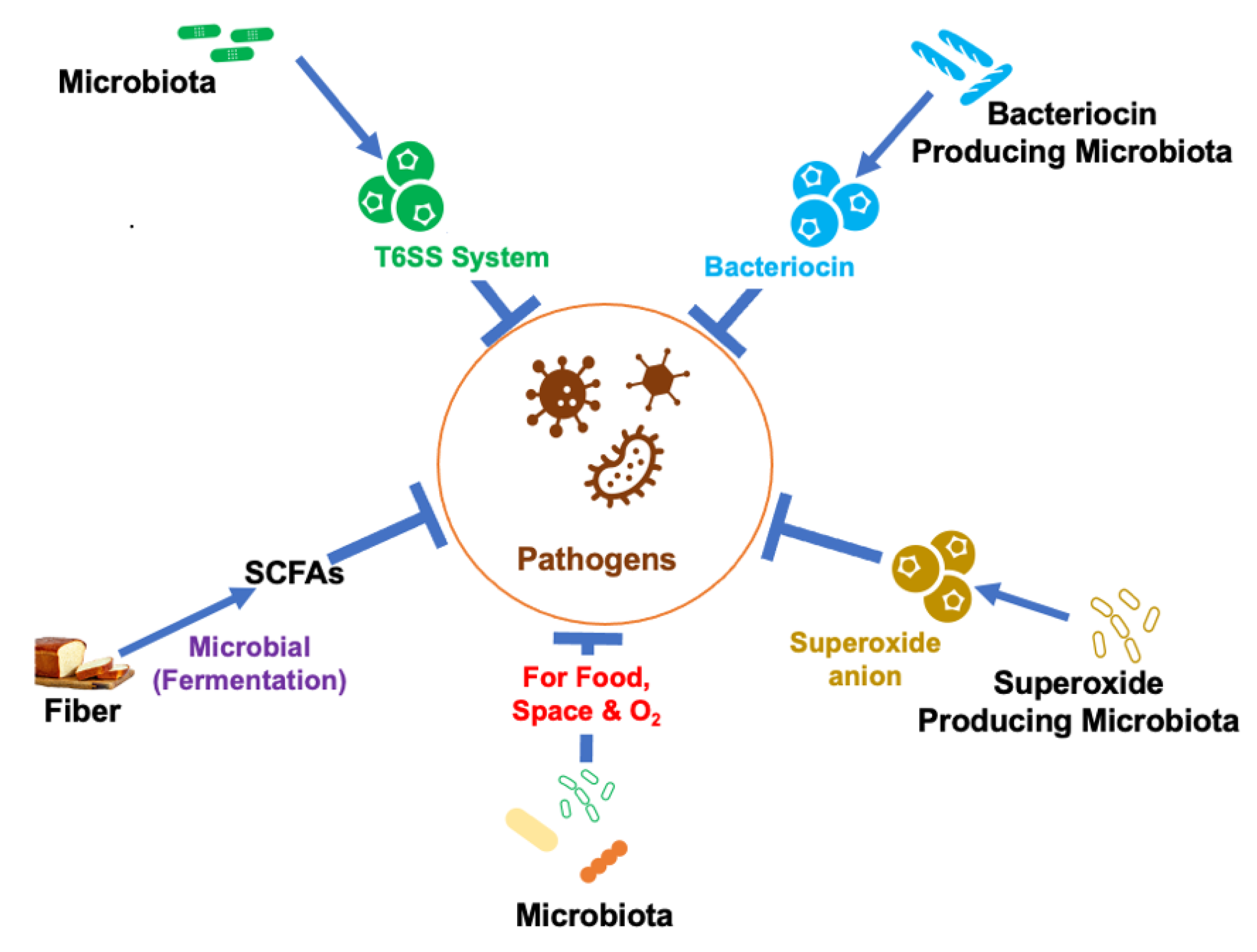 Nutrients 14 00624 g001 Nutrients 14 00624 g001