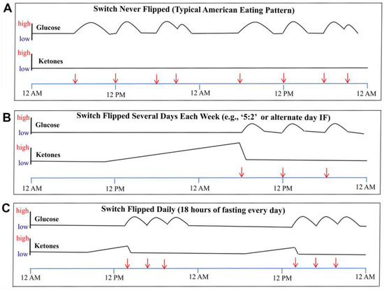 A timeline graph of intermittent fasting stages and their effects.