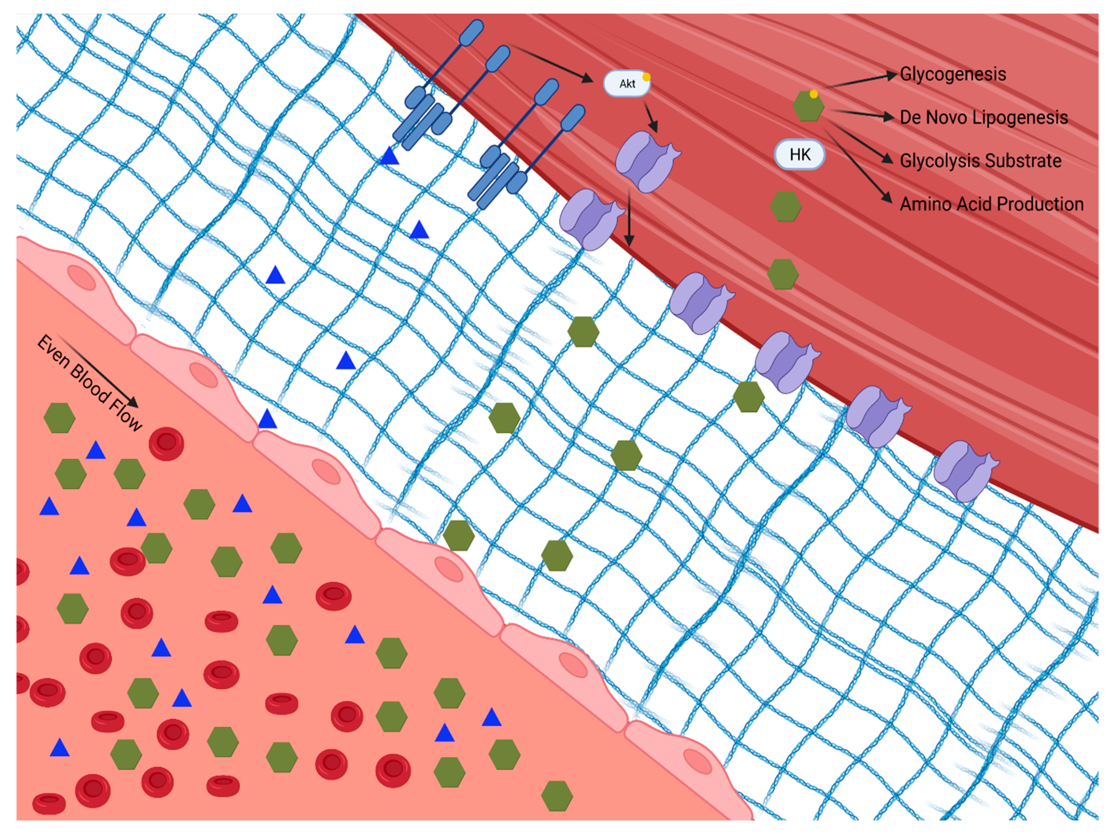 Nutrients 14 00647 g001 Nutrients 14 00647 g001
