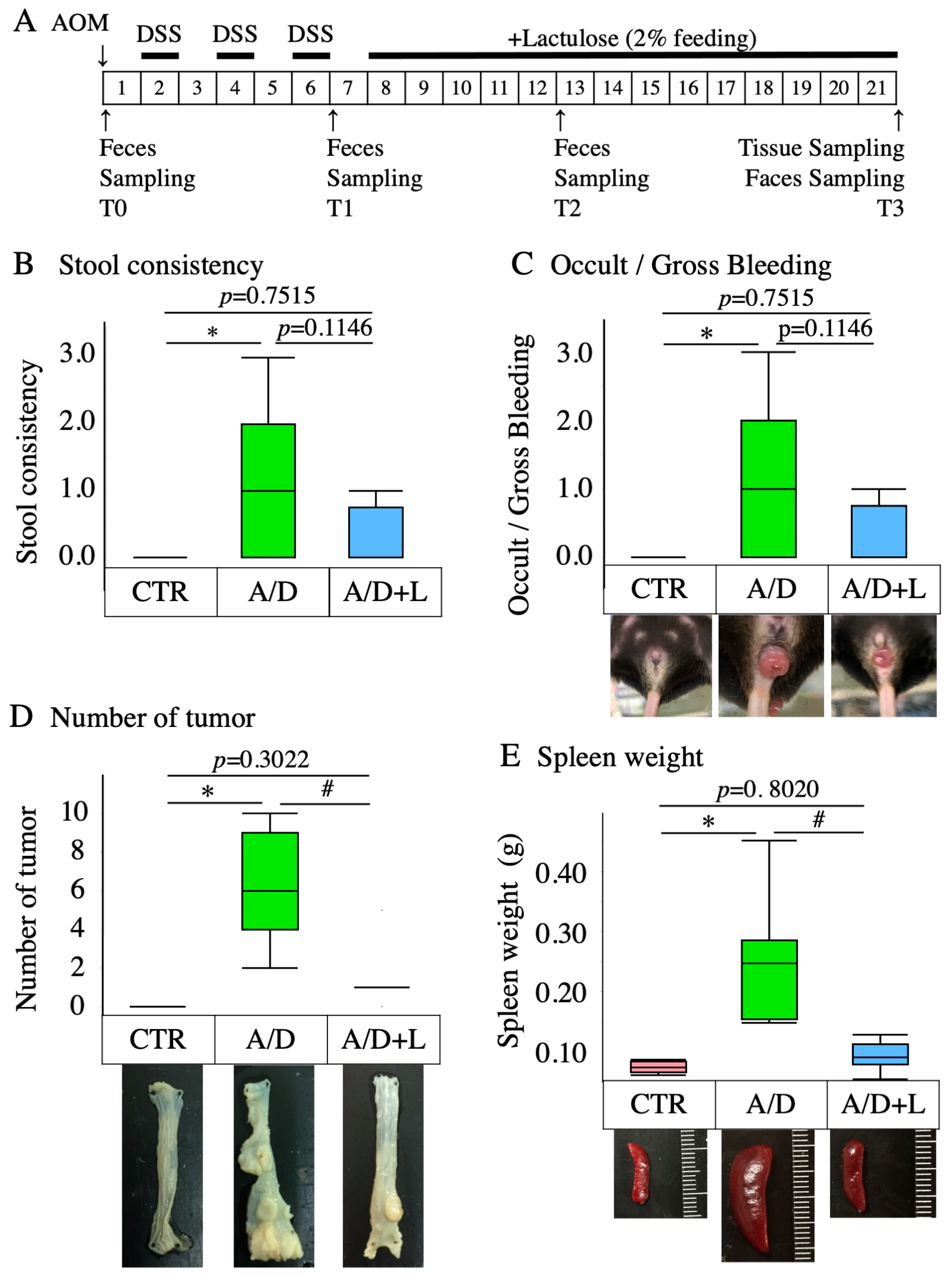Nutrients 14 00649 g001