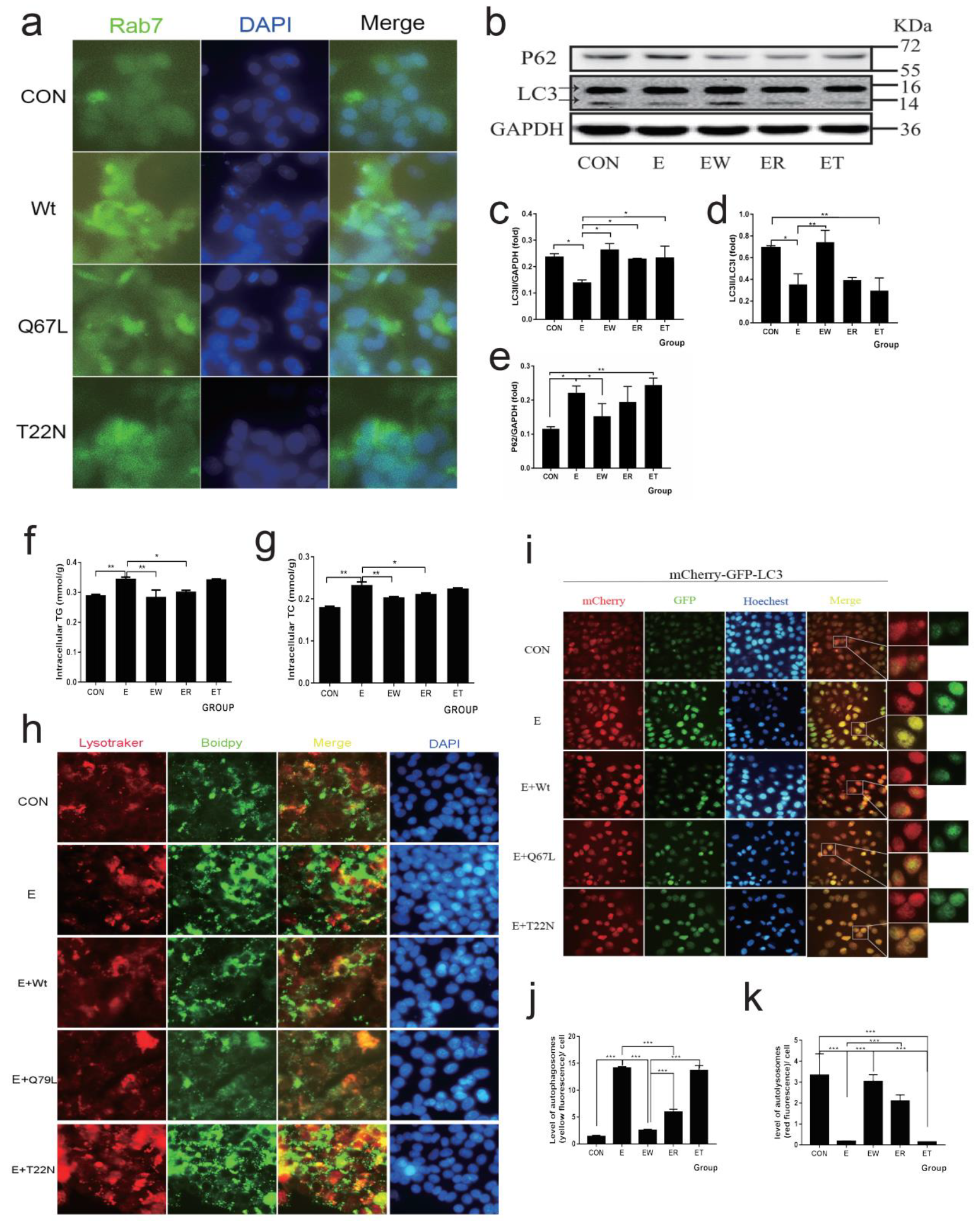 Nutrients 14 00658 g005