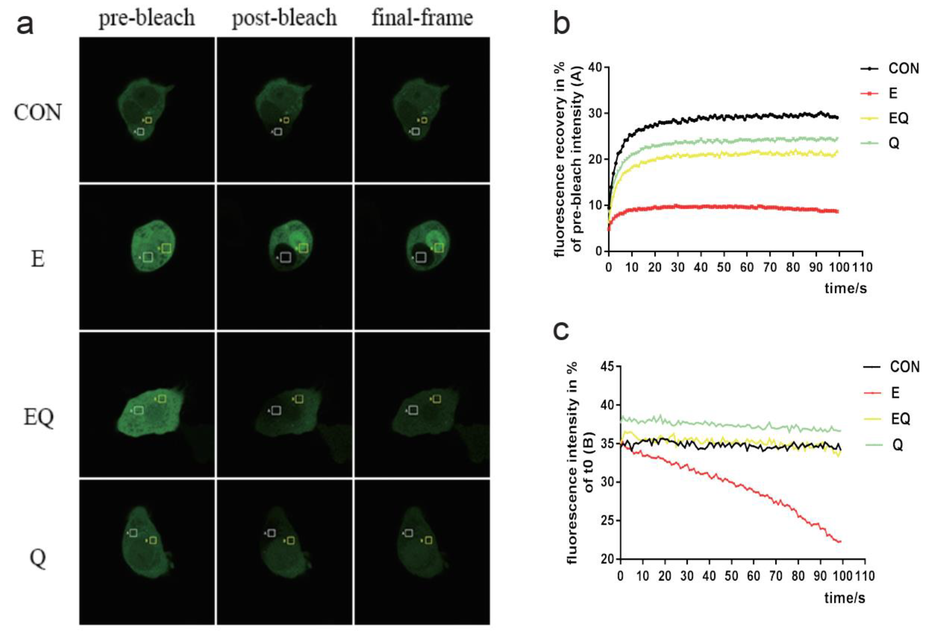 Nutrients 14 00658 g007