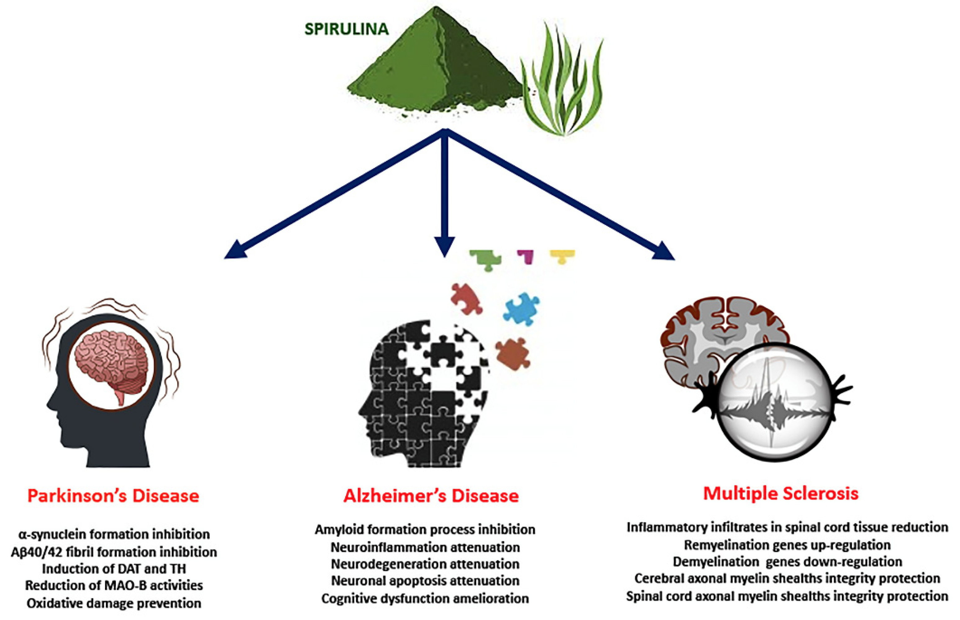 Nutrients 14 00676 g002