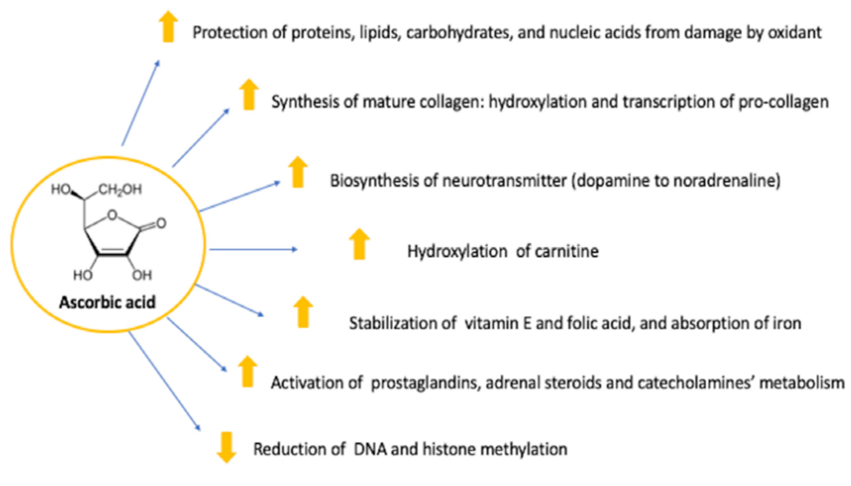 Nutrients 14 00684 g001
