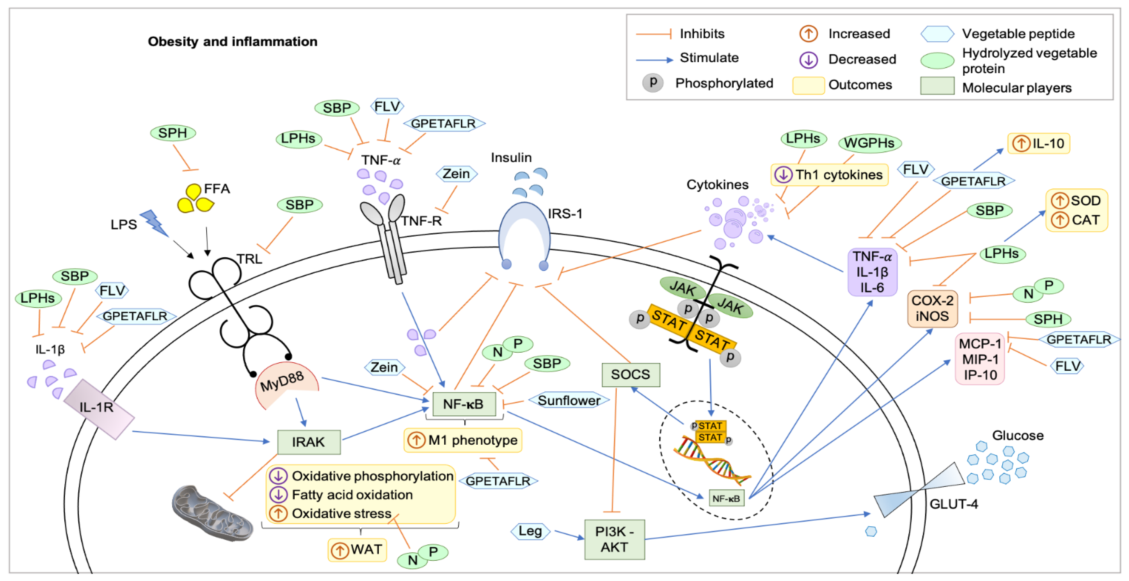 Nutrients 14 00690 g001