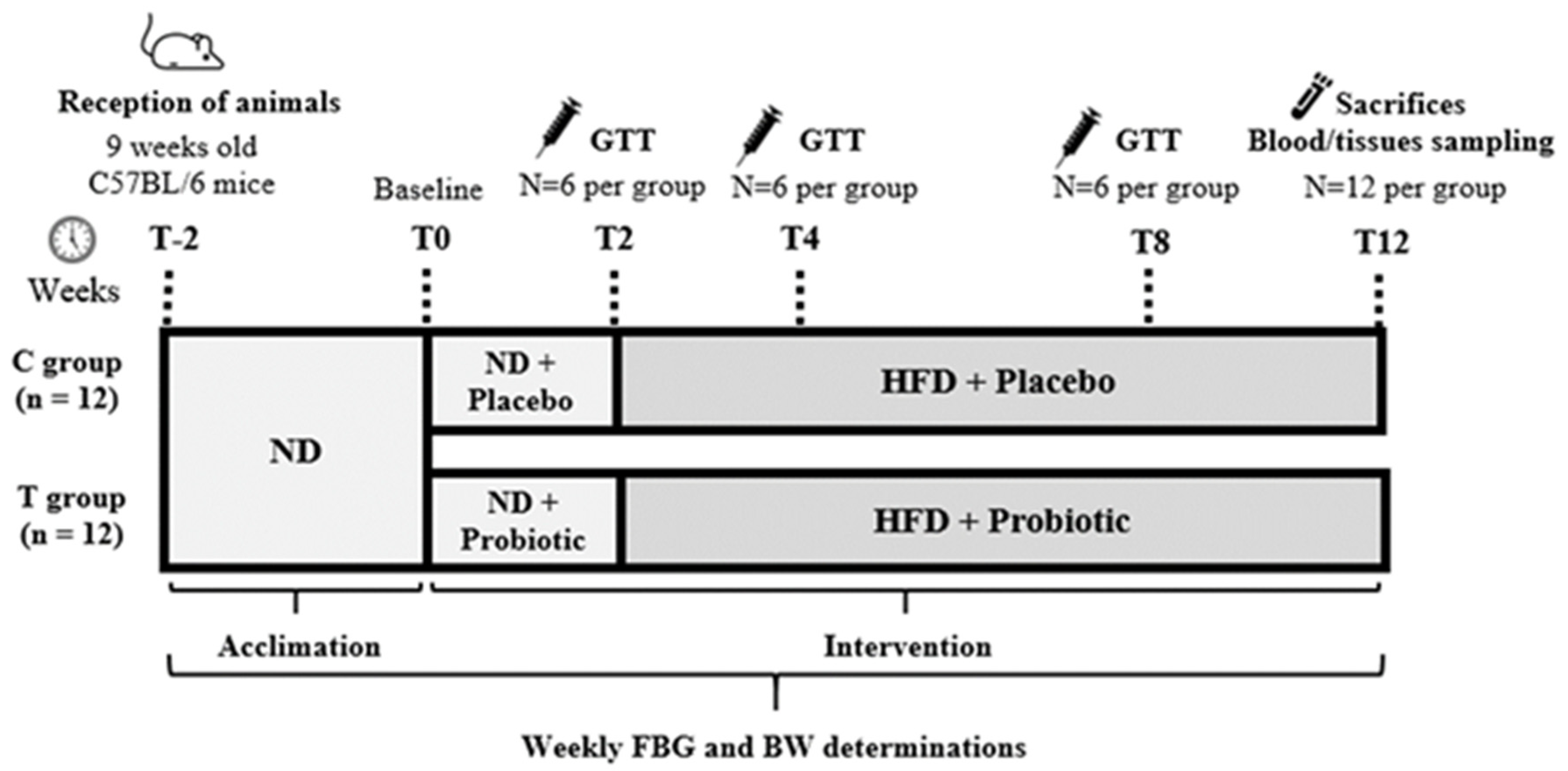 Nutrients 14 00692 g001 Nutrients 14 00692 g001