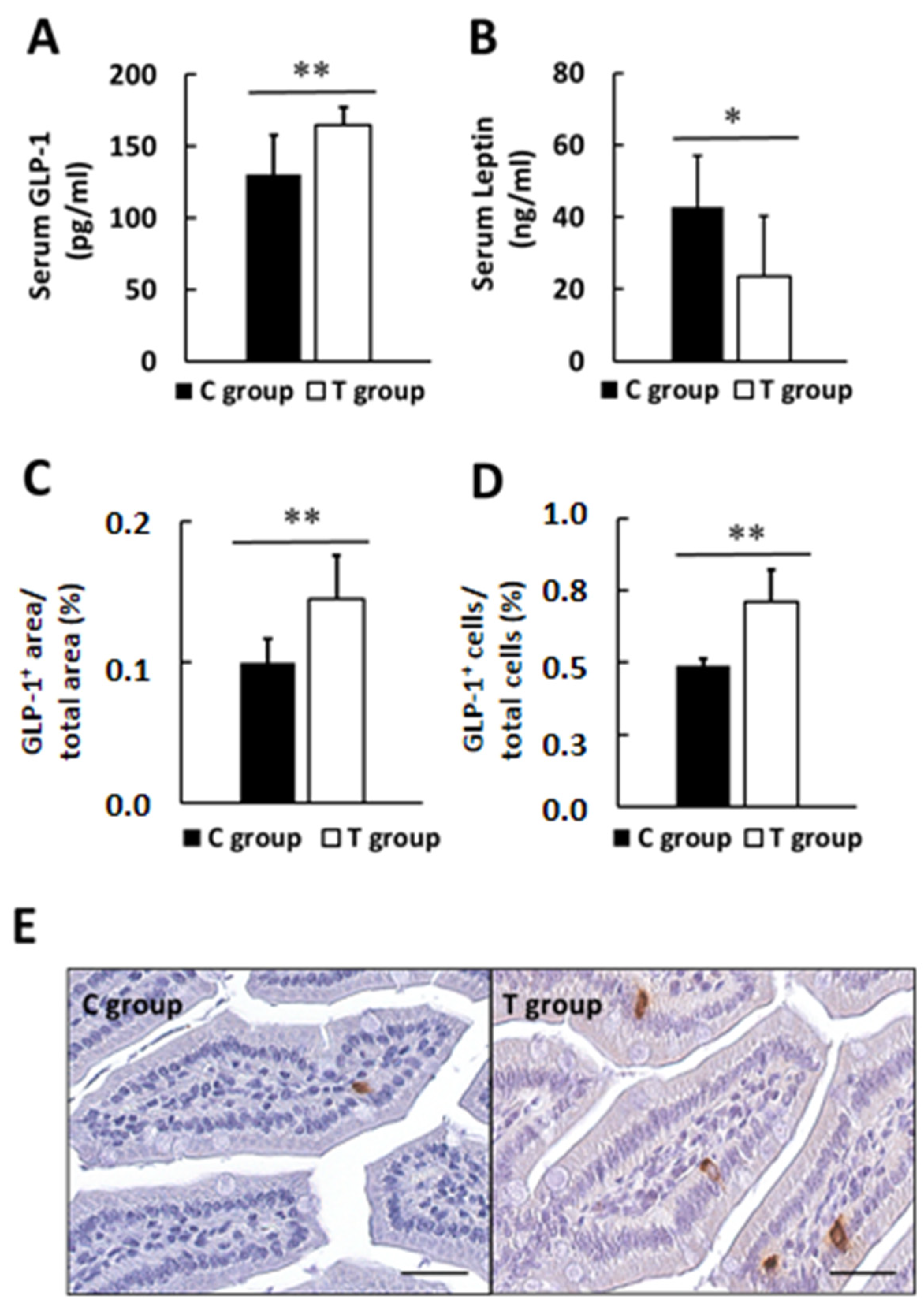 Nutrients 14 00692 g005 Nutrients 14 00692 g005