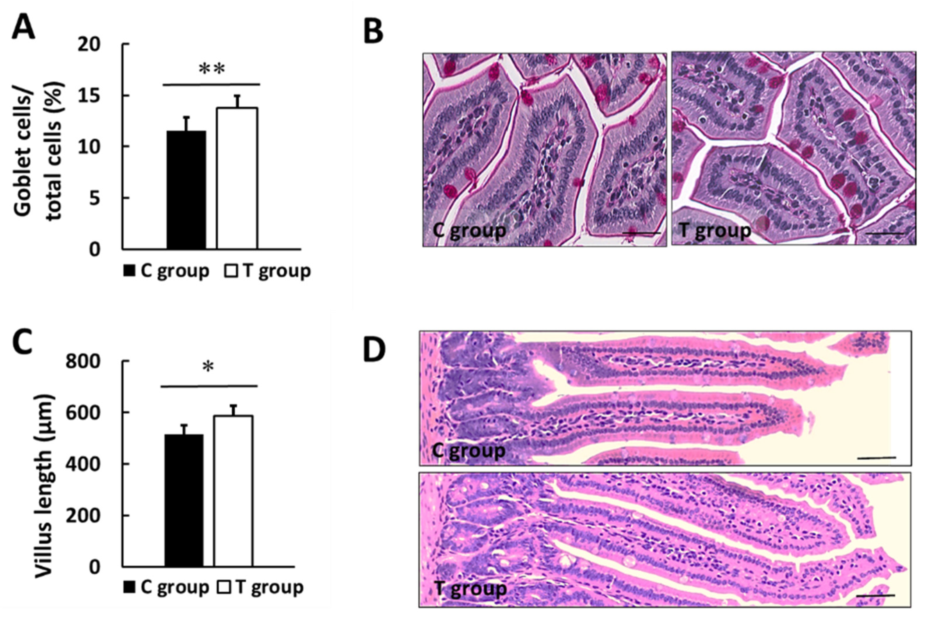 Nutrients 14 00692 g006 Nutrients 14 00692 g006