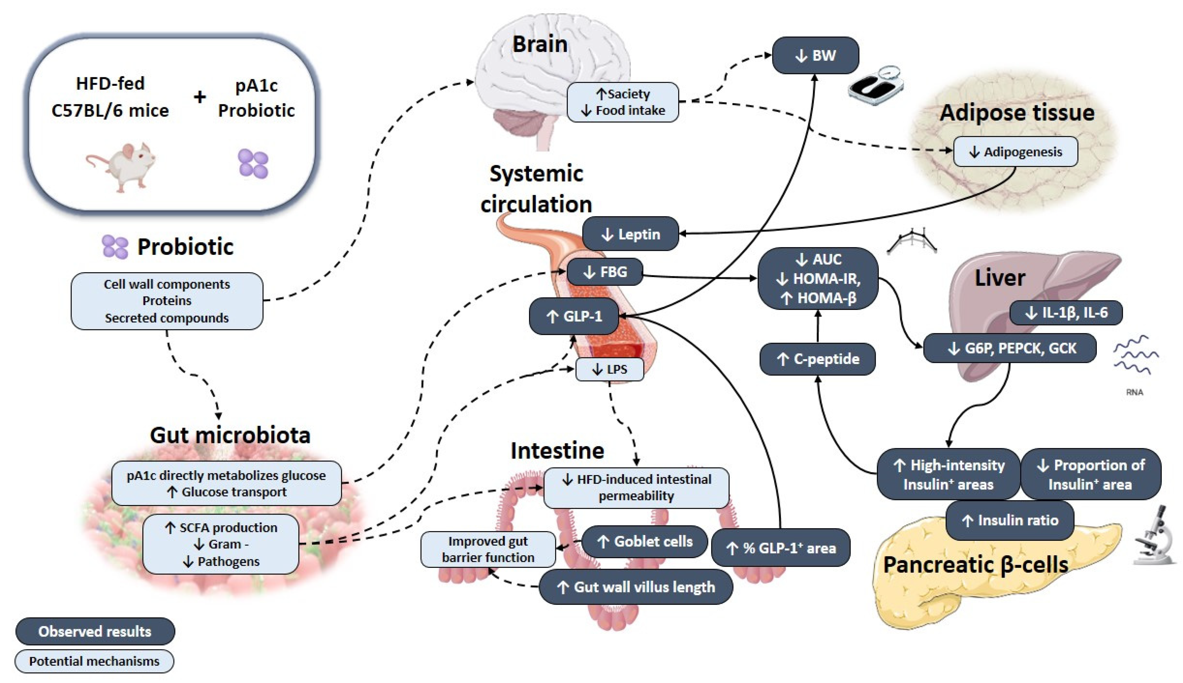 Nutrients 14 00692 g008 Nutrients 14 00692 g008