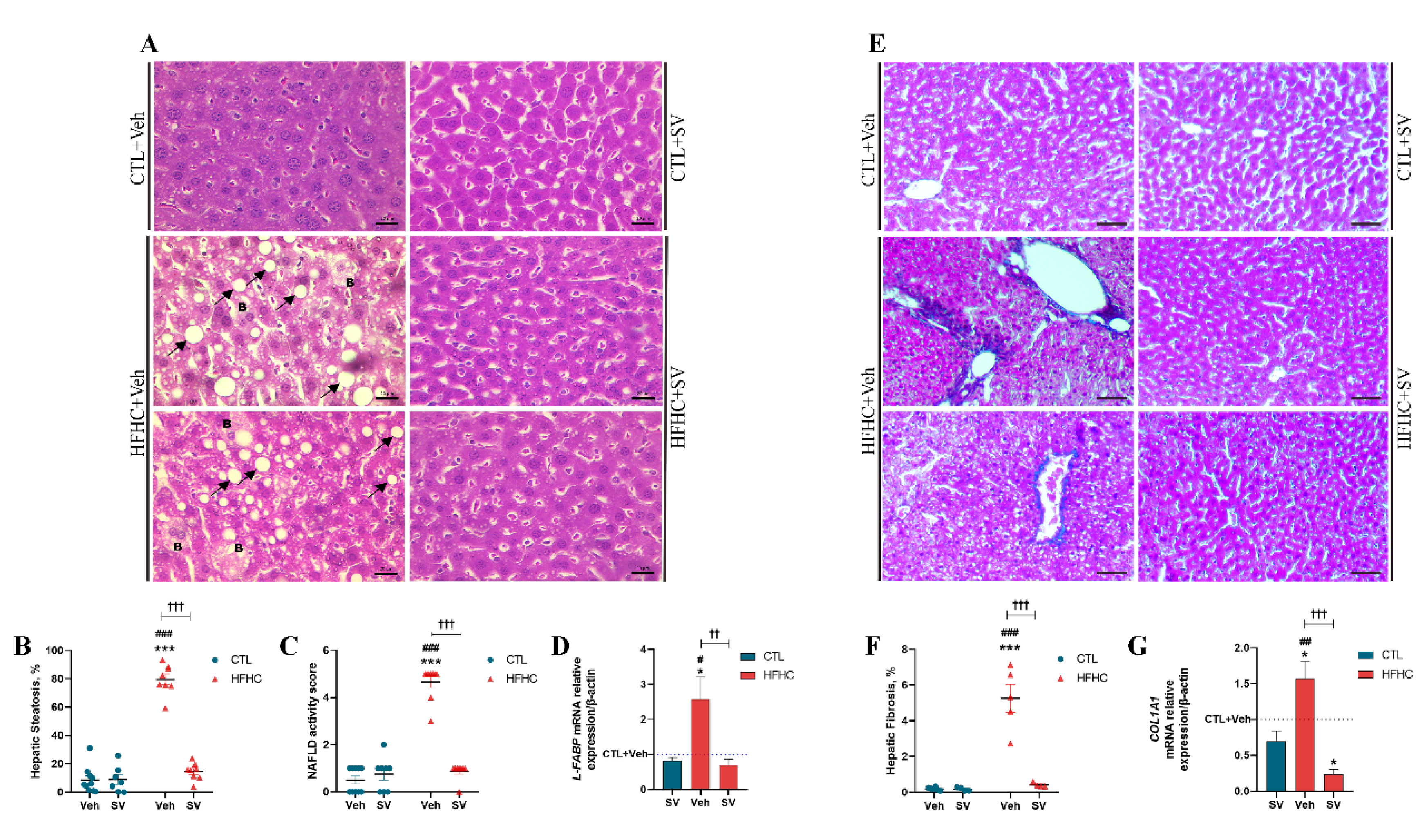 Nutrients 14 00716 g002 Nutrients 14 00716 g002