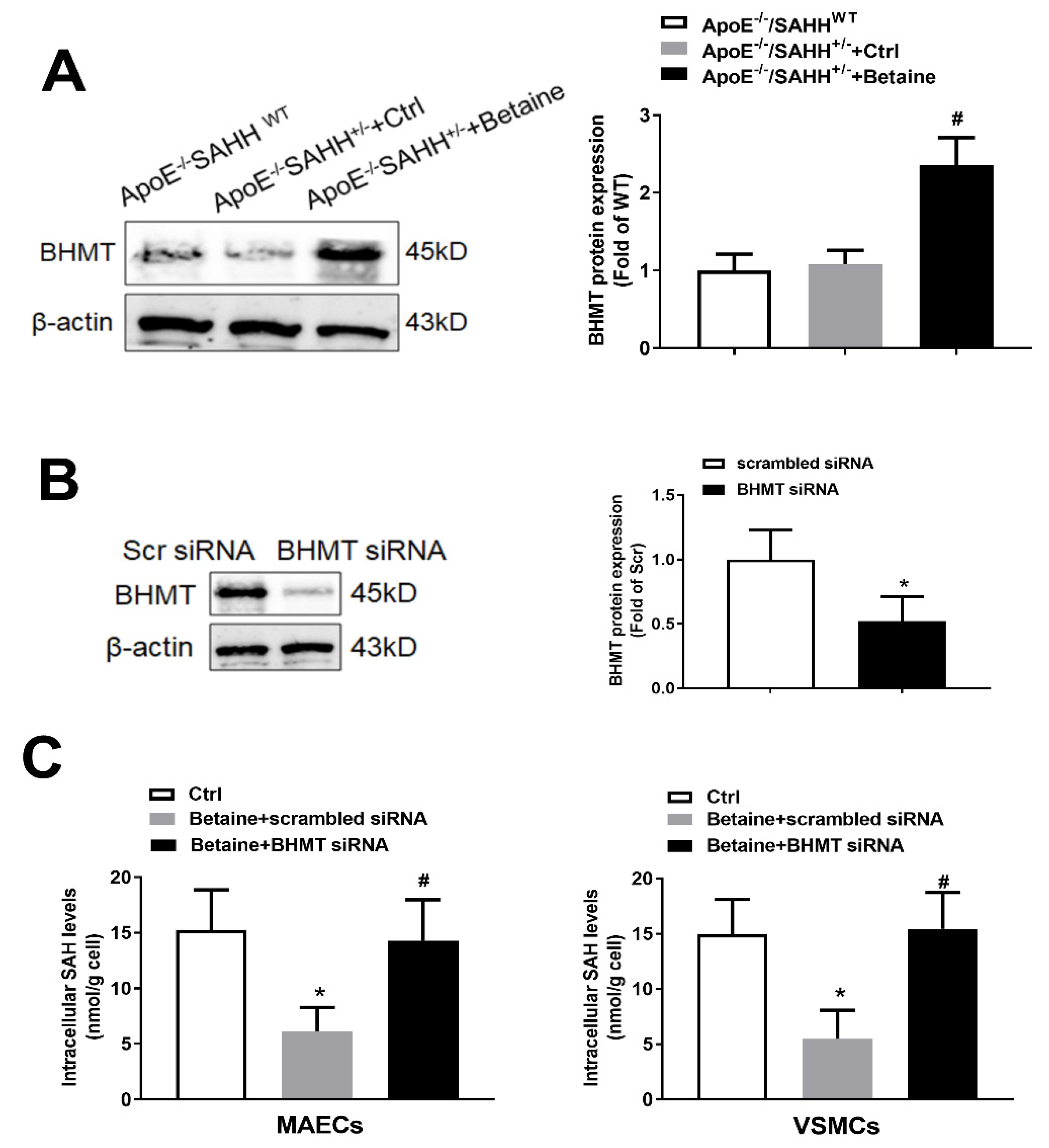 Nutrients 14 00718 g004 Nutrients 14 00718 g004