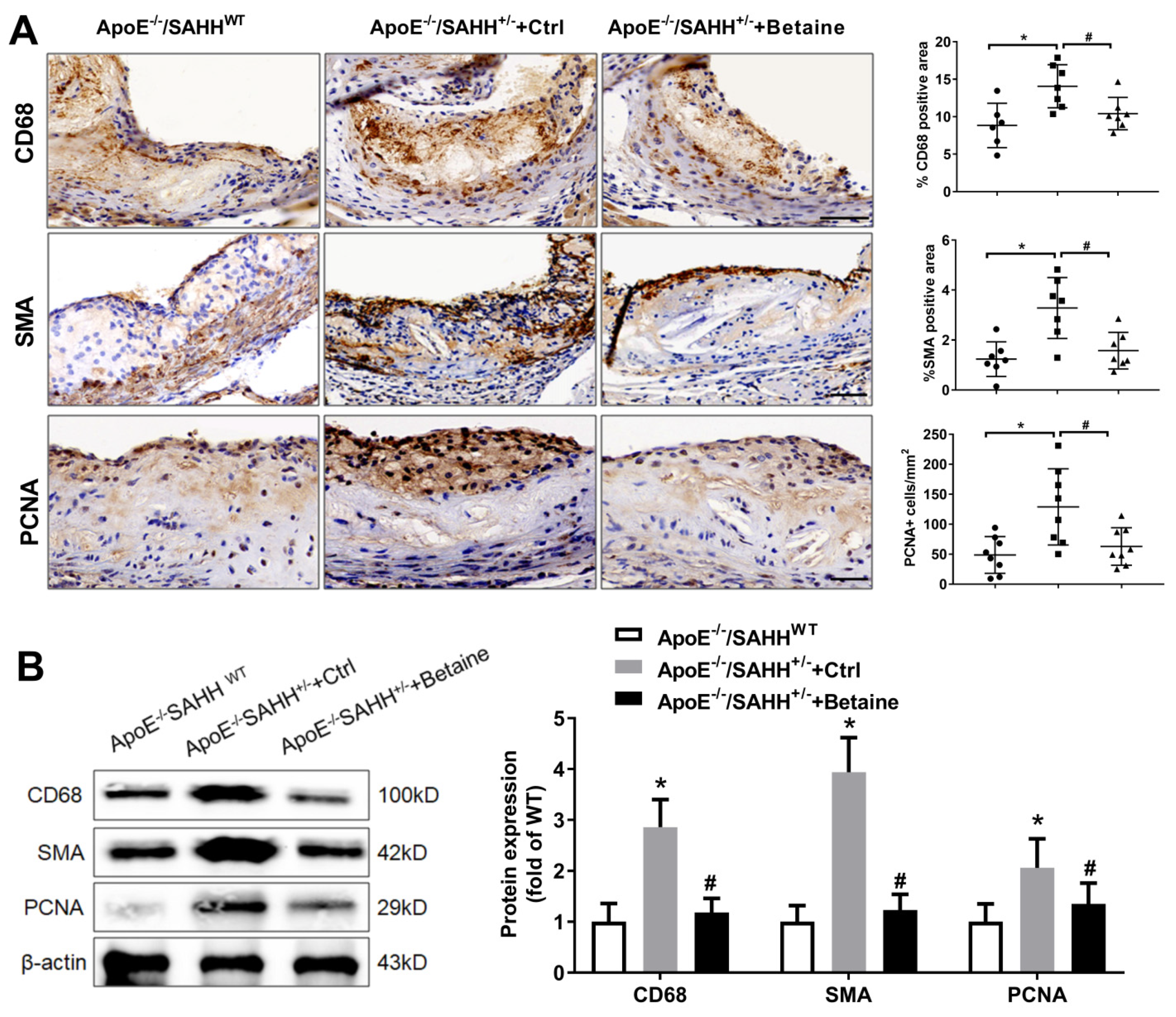 Nutrients 14 00718 g005 Nutrients 14 00718 g005