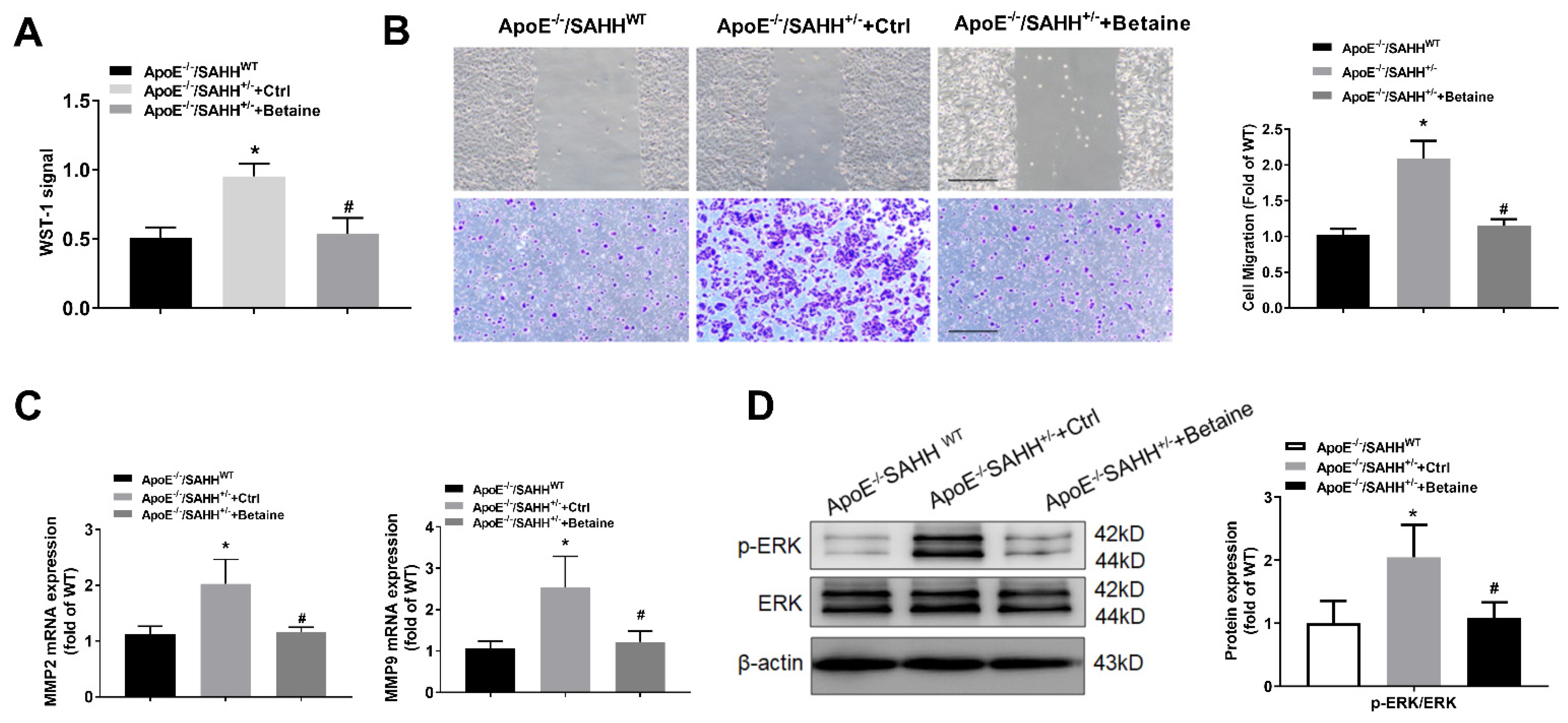 Nutrients 14 00718 g007 Nutrients 14 00718 g007