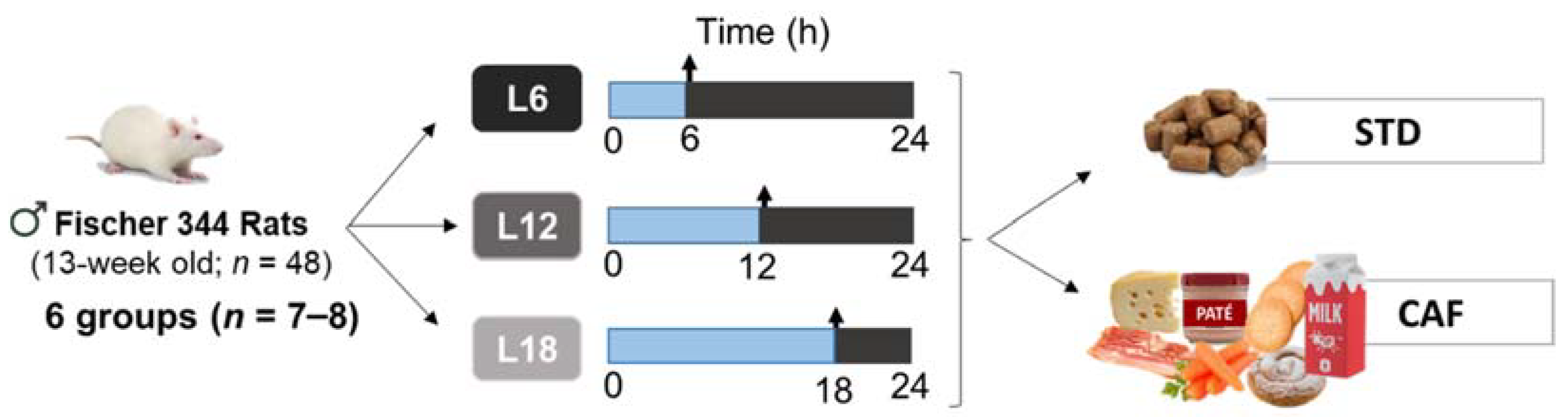 Nutrients 14 00722 g001