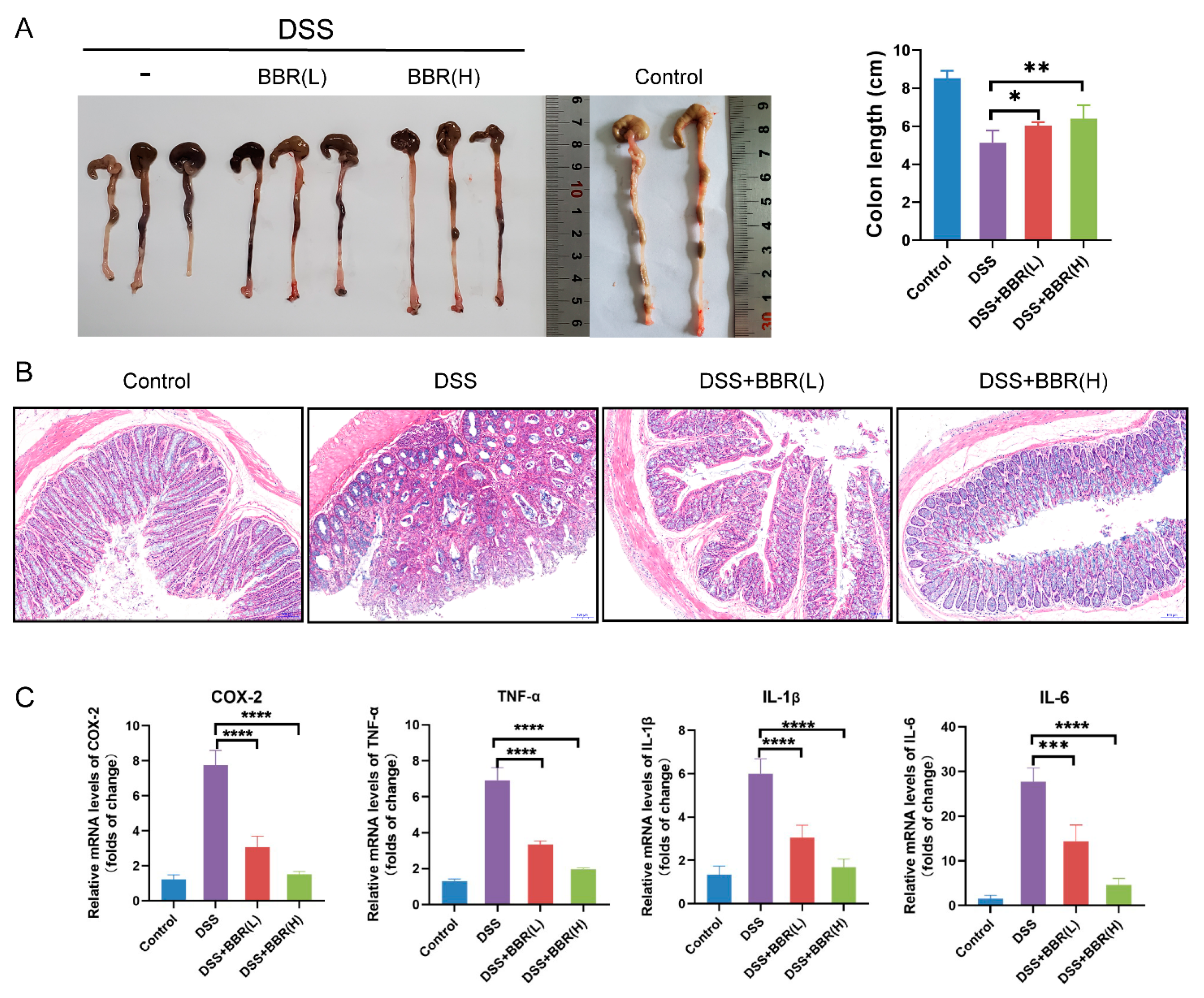 Nutrients 14 00726 g003 Nutrients 14 00726 g003