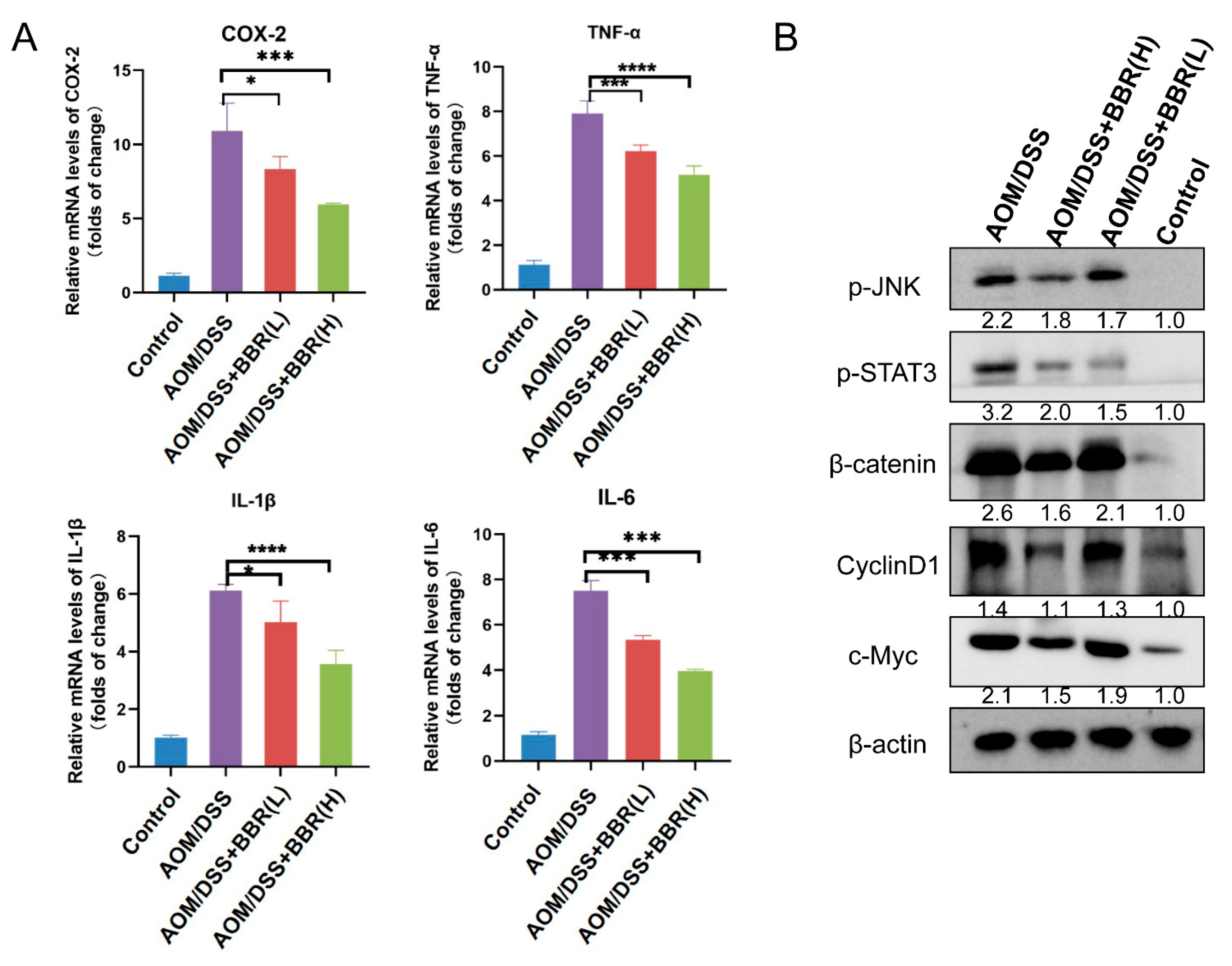 Nutrients 14 00726 g005 Nutrients 14 00726 g005