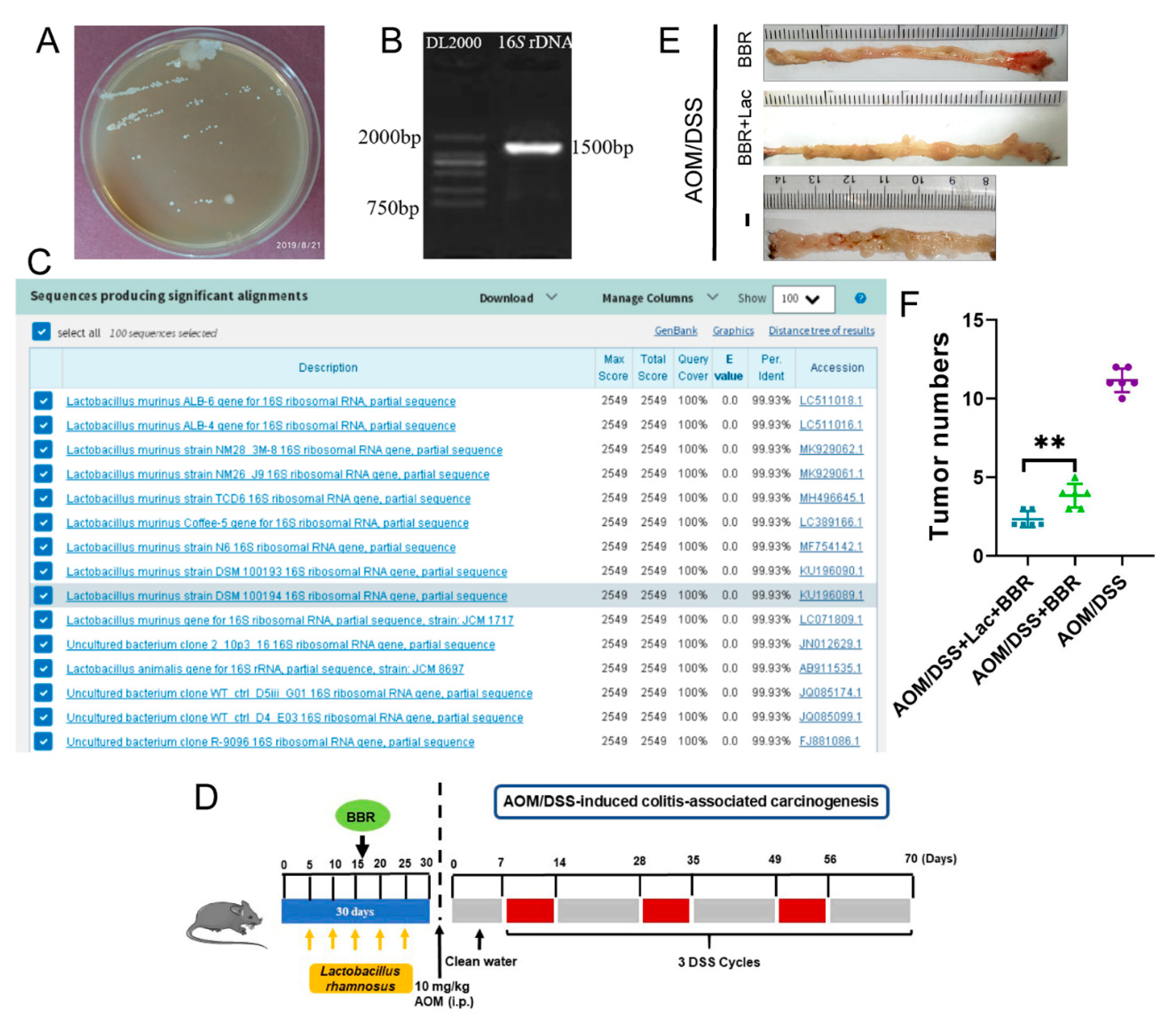 Nutrients 14 00726 g008 Nutrients 14 00726 g008