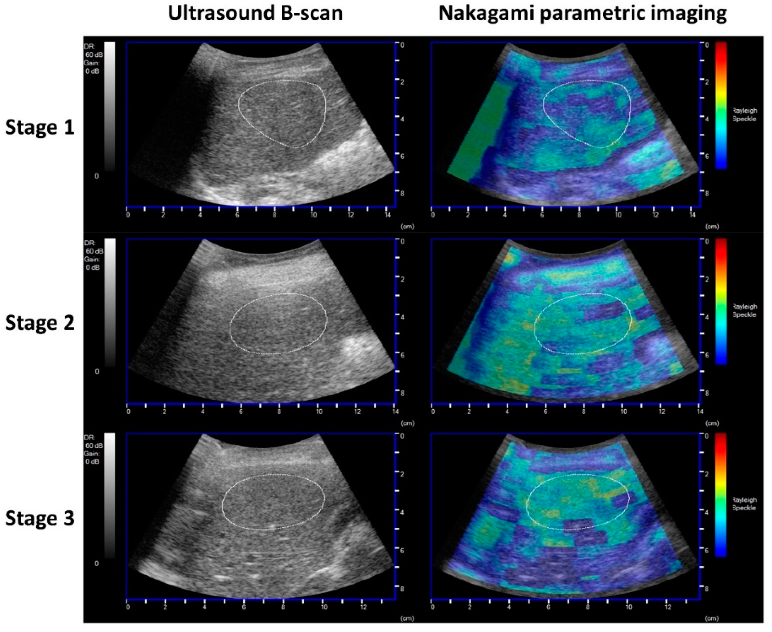 Nutrients 14 00727 g002 550