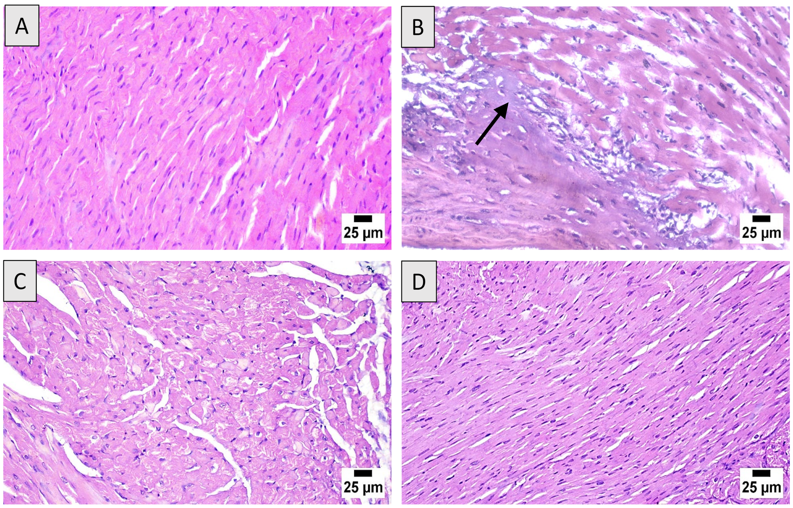 Nutrients 14 00733 g002