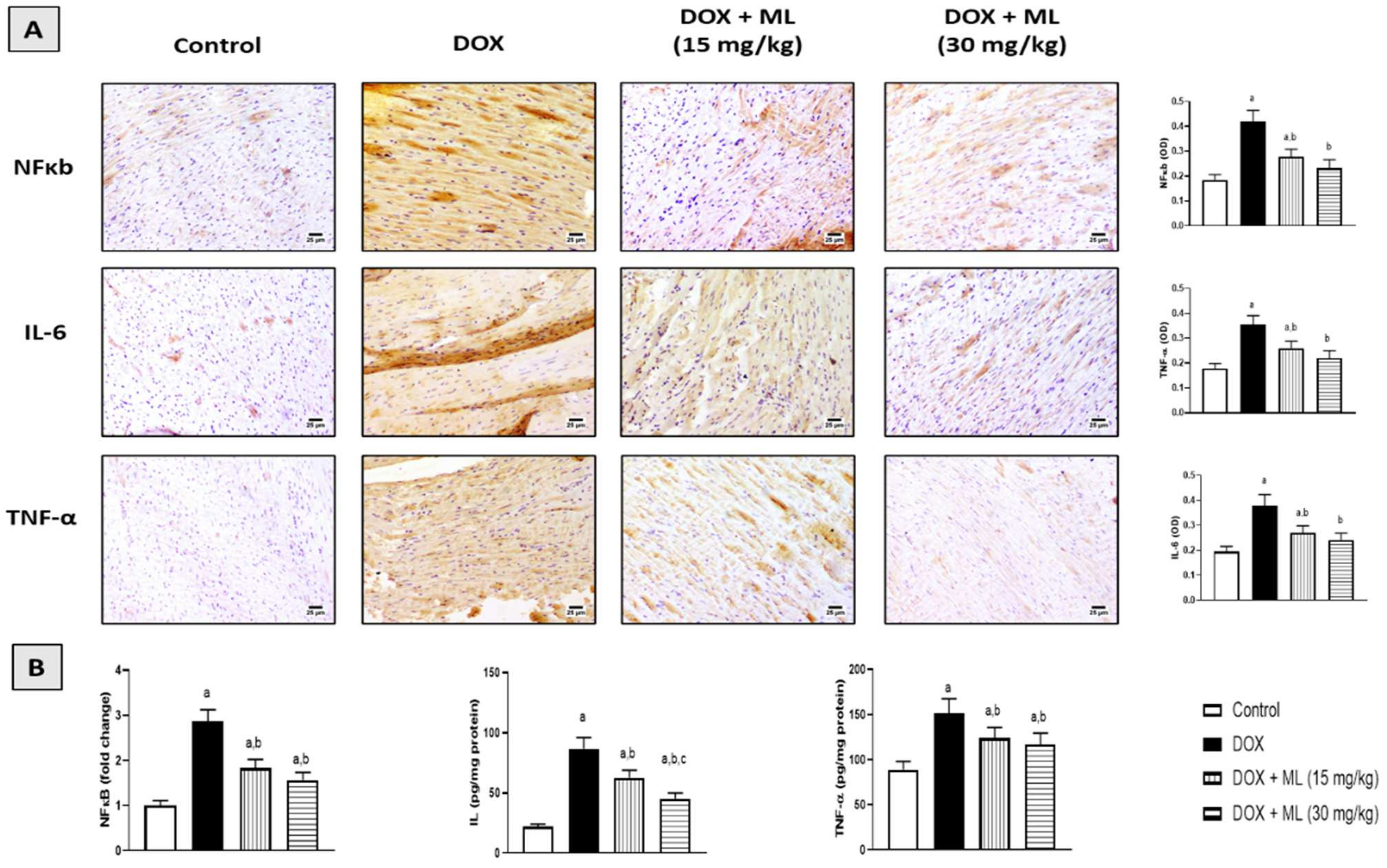 Nutrients 14 00733 g006