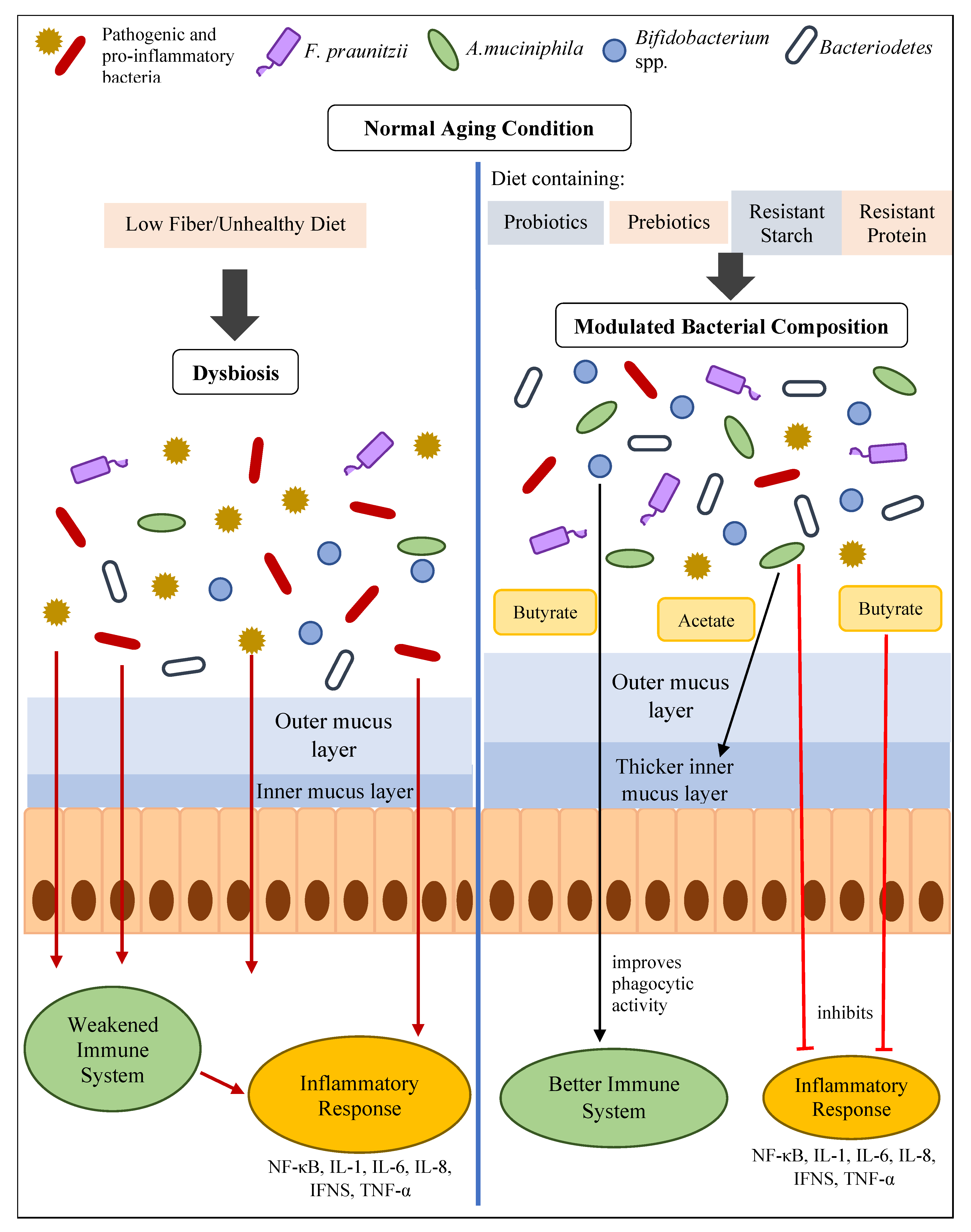 Nutrients 14 00747 g002